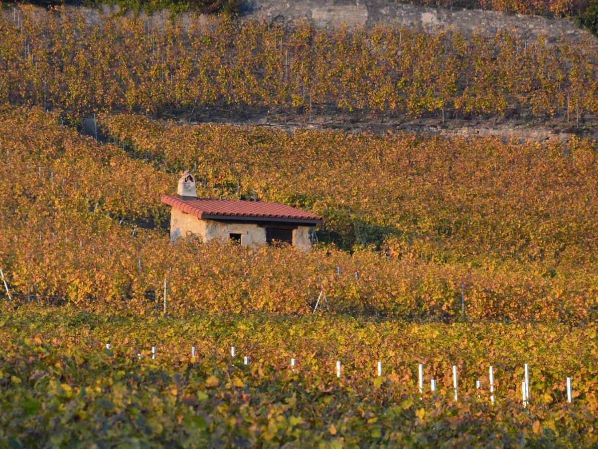 BnB Le Haut des Vignes
