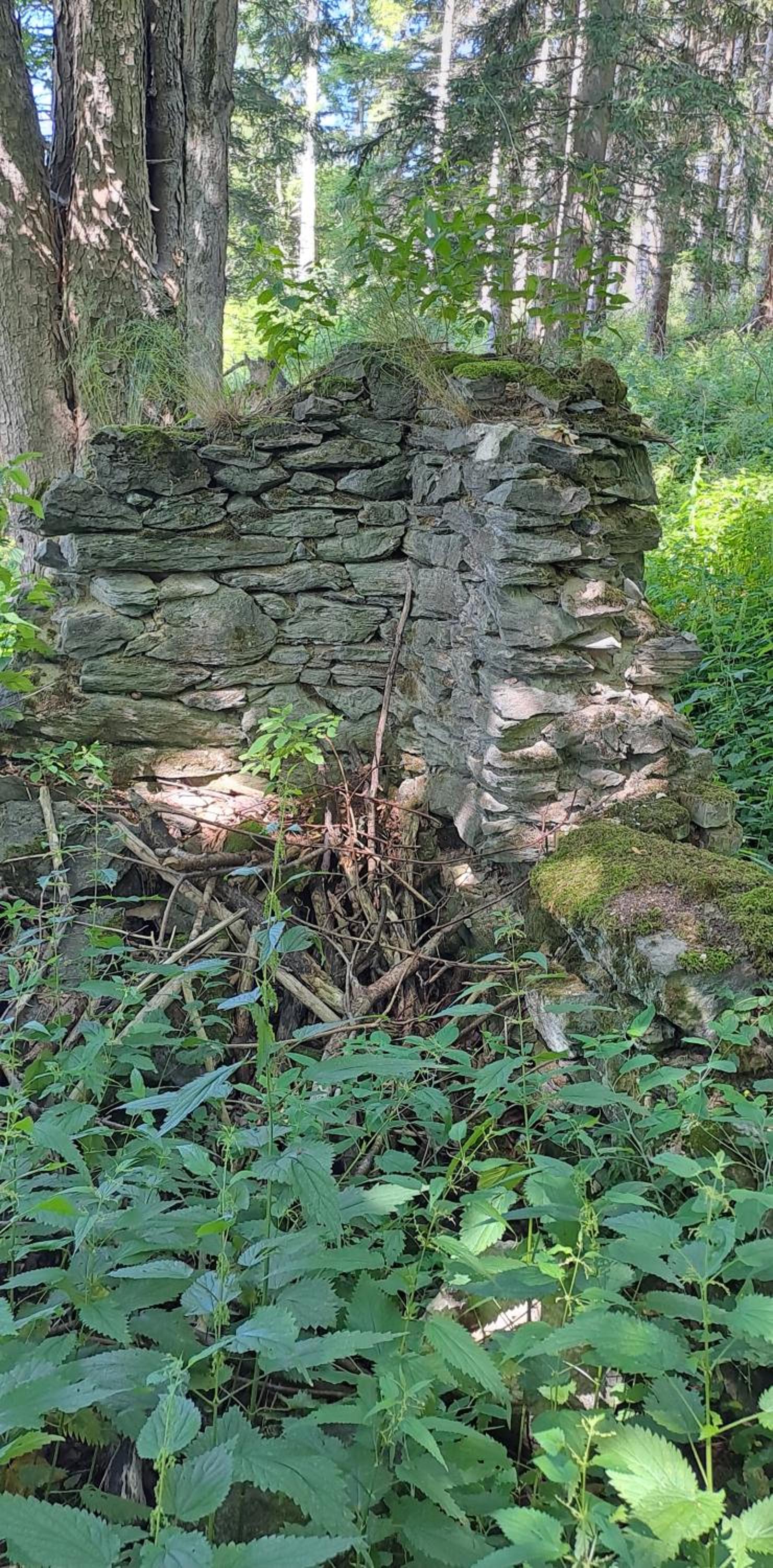 Photo 25