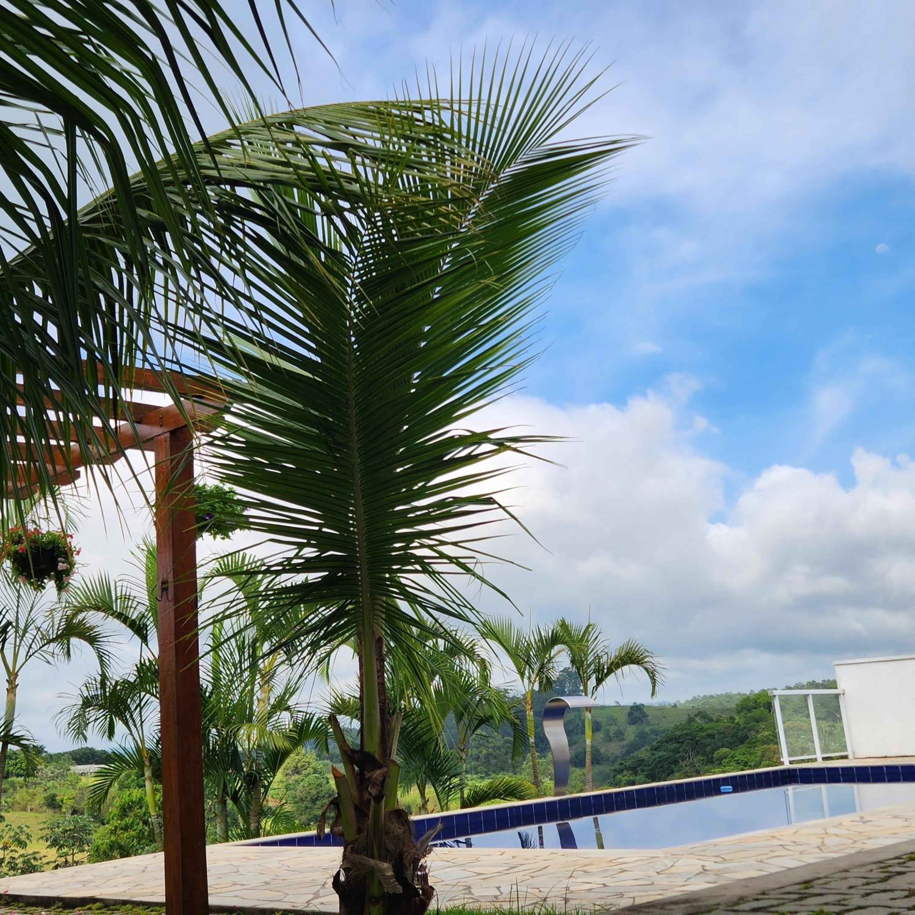Casaazulvaleparaiba