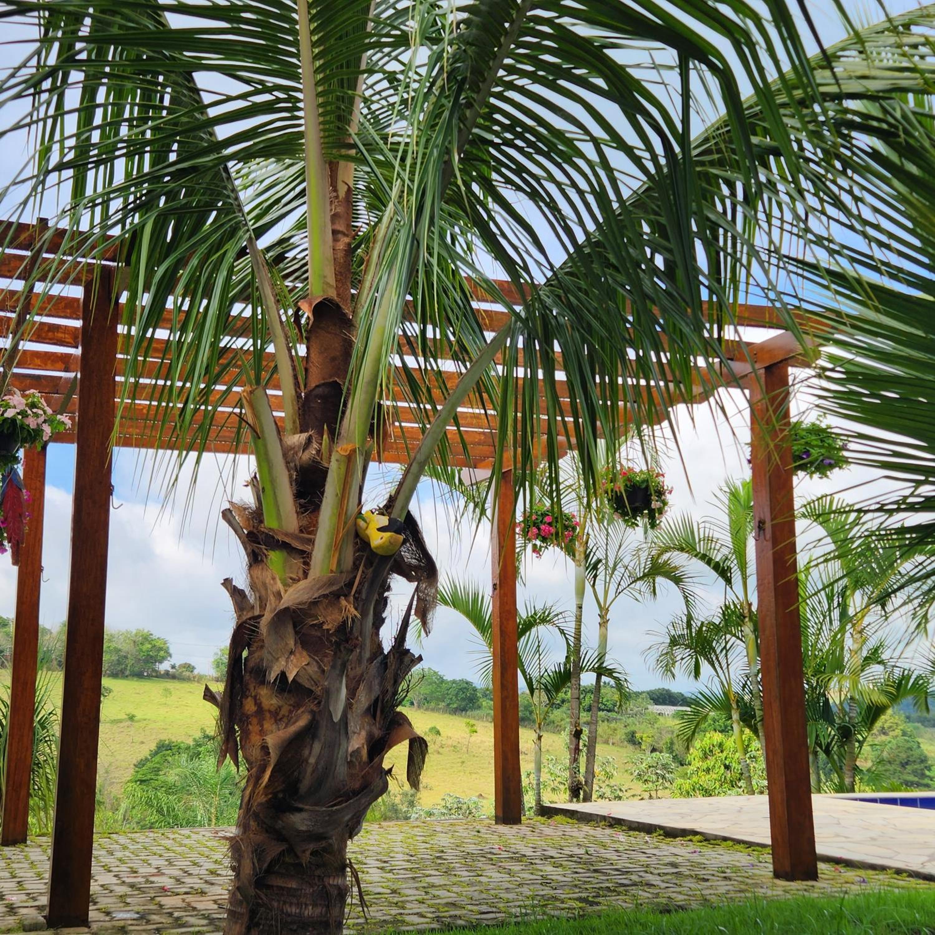 Casaazulvaleparaiba