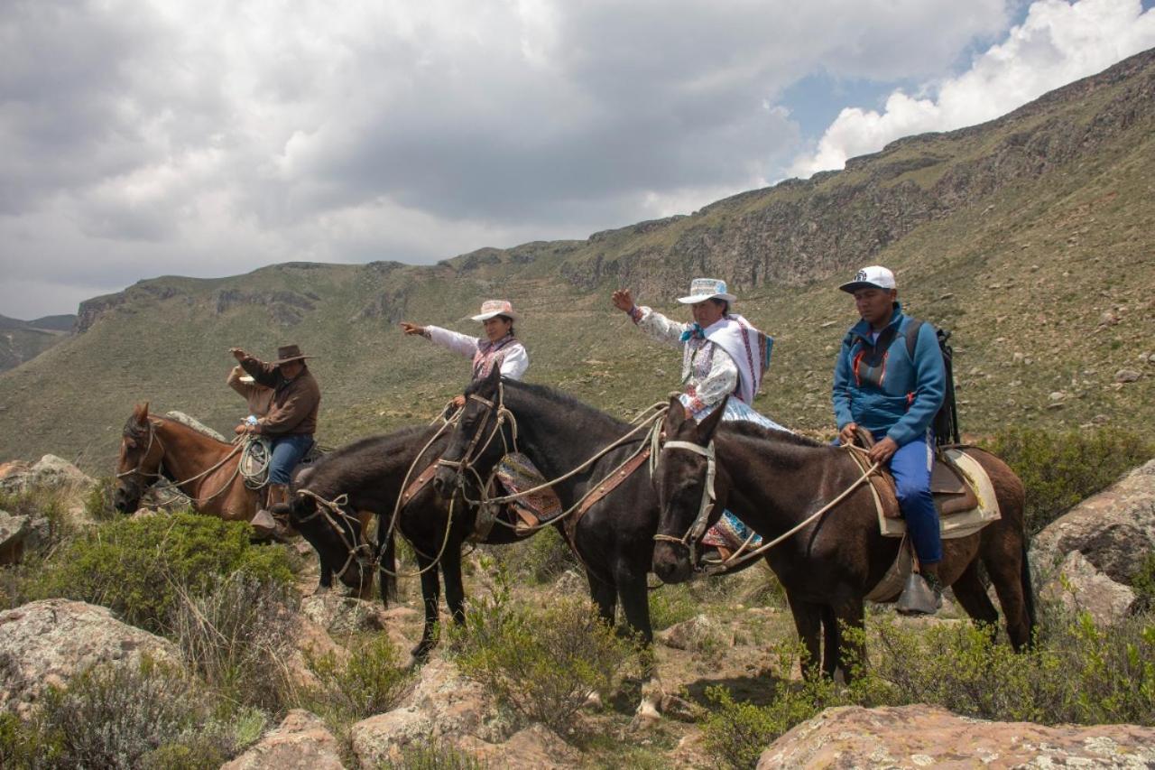 Lodge Mirador San Antonio- Colca
