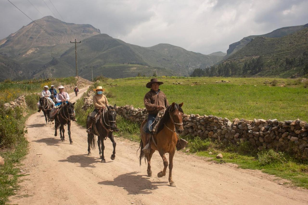 Lodge Mirador San Antonio- Colca