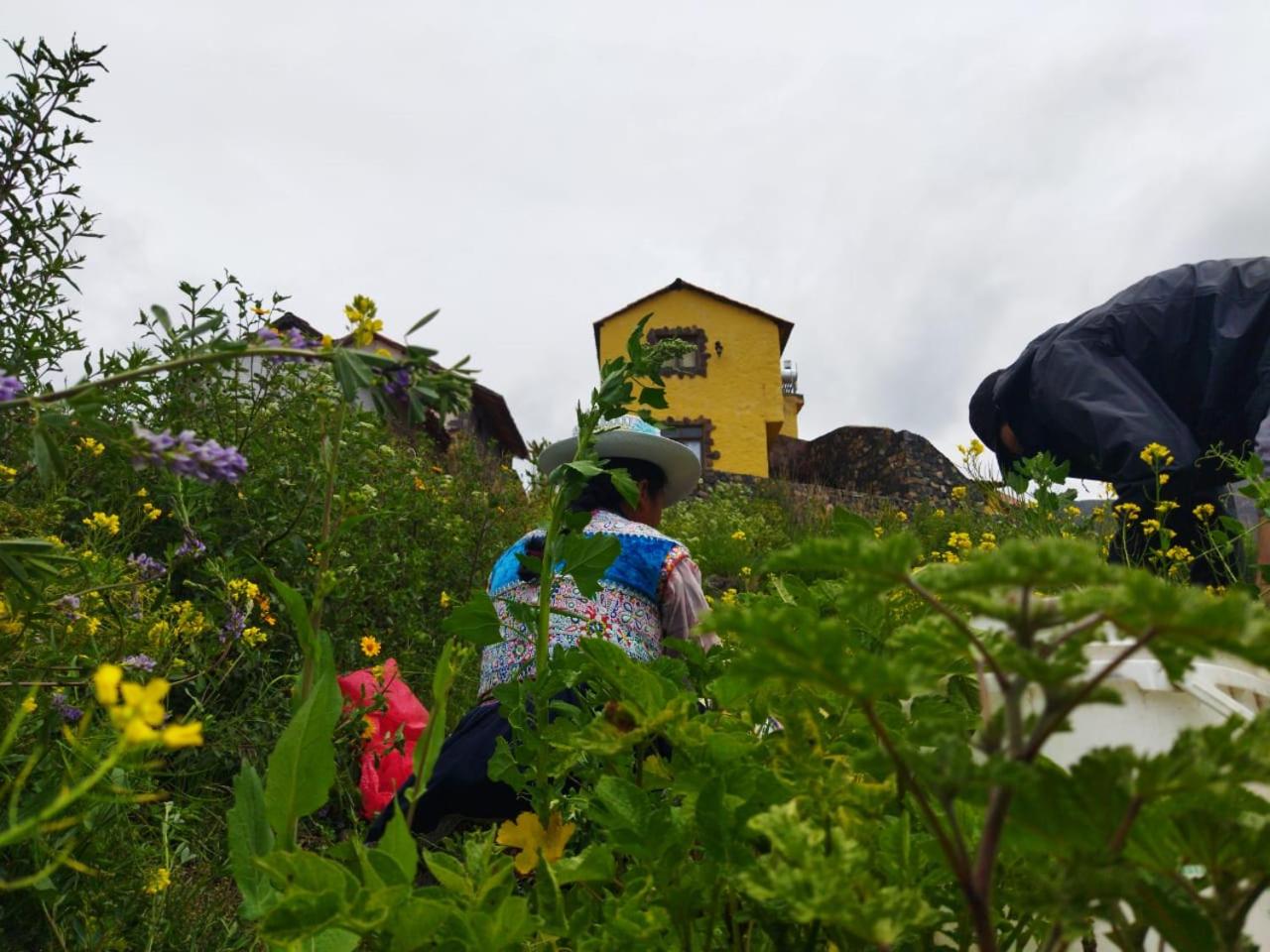 Lodge Mirador San Antonio- Colca