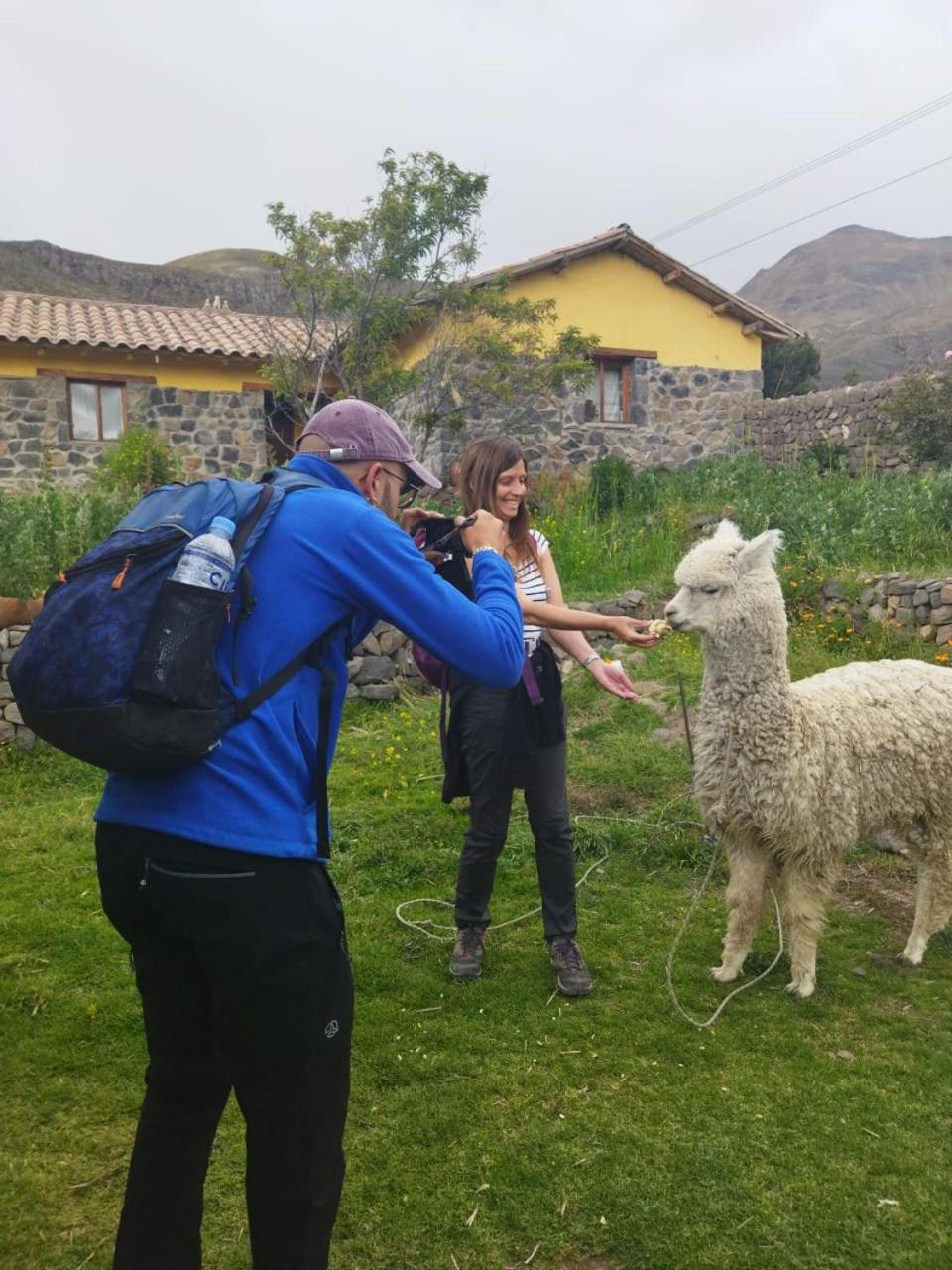 Lodge Mirador San Antonio- Colca