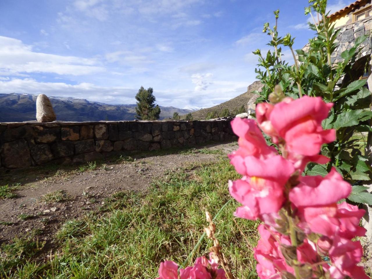Lodge Mirador San Antonio- Colca