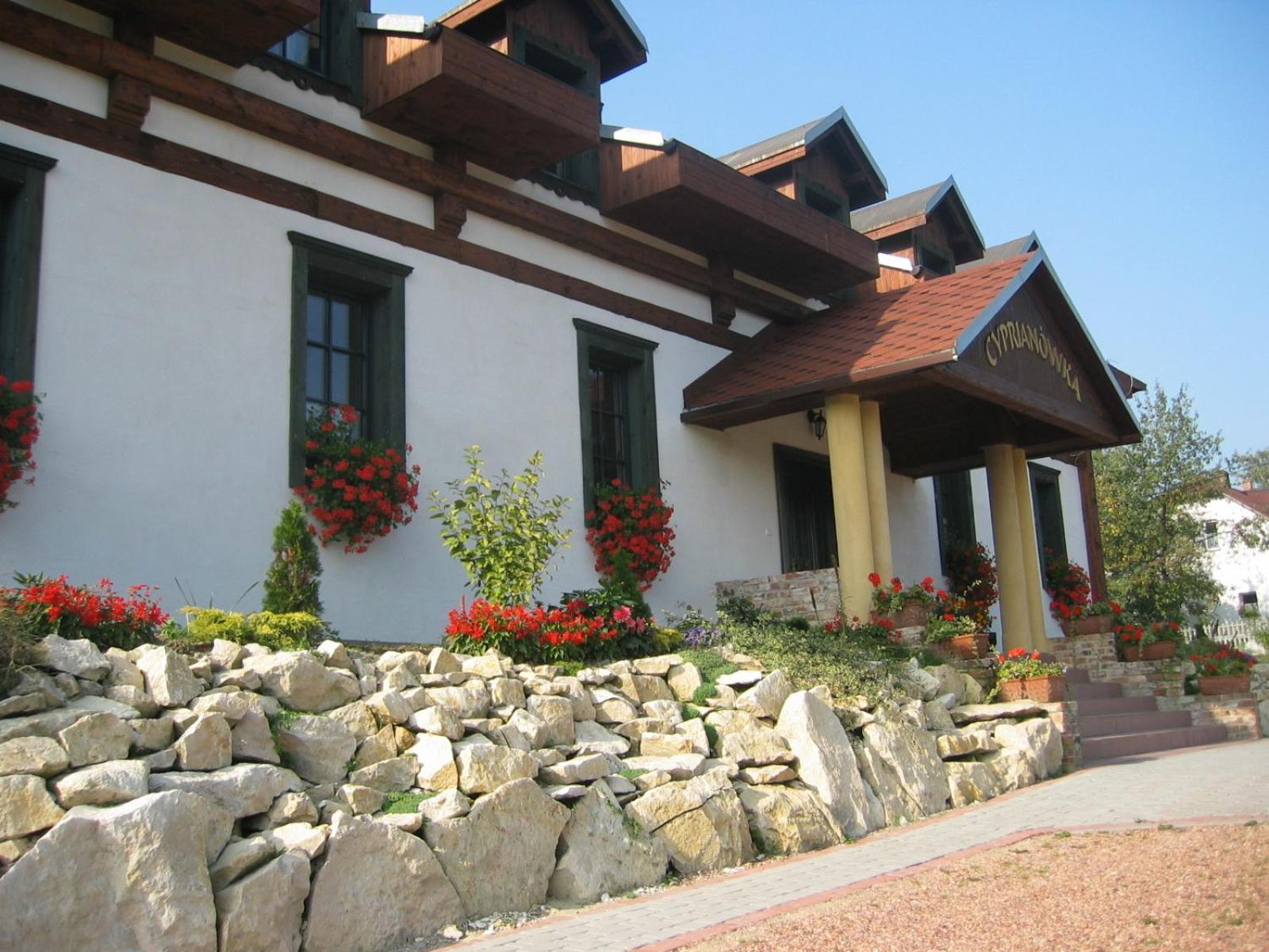 Photo 12