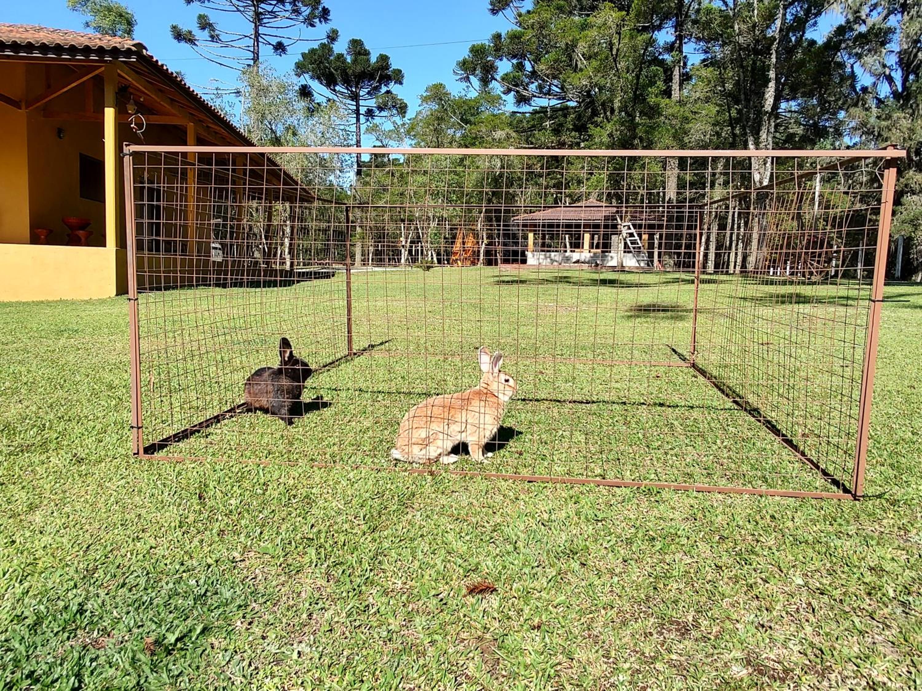 Chalé Magia das Hortênsias, relaxe na hidromassagem!