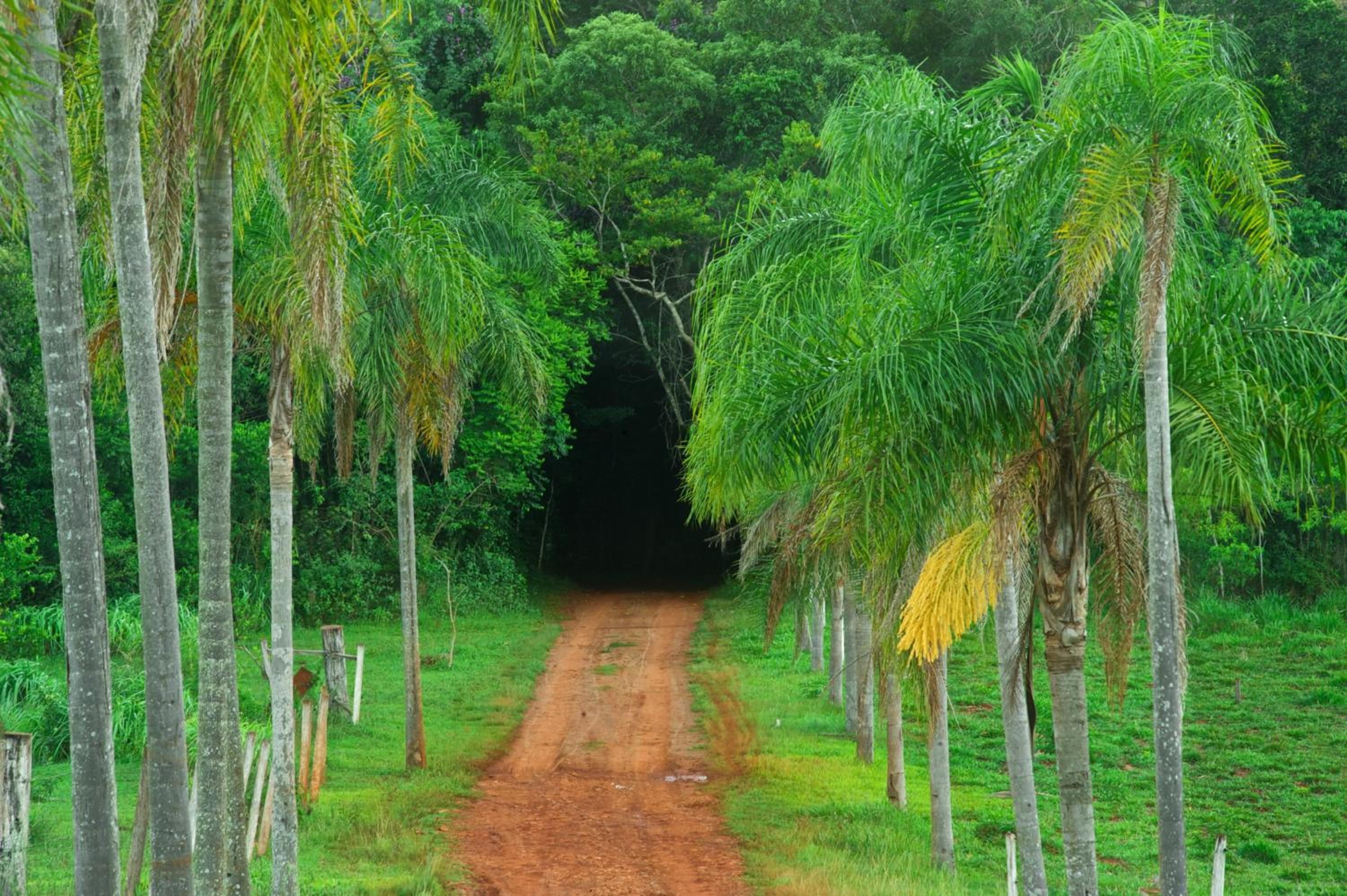 La Mision Mocona - Lodge de Selva
