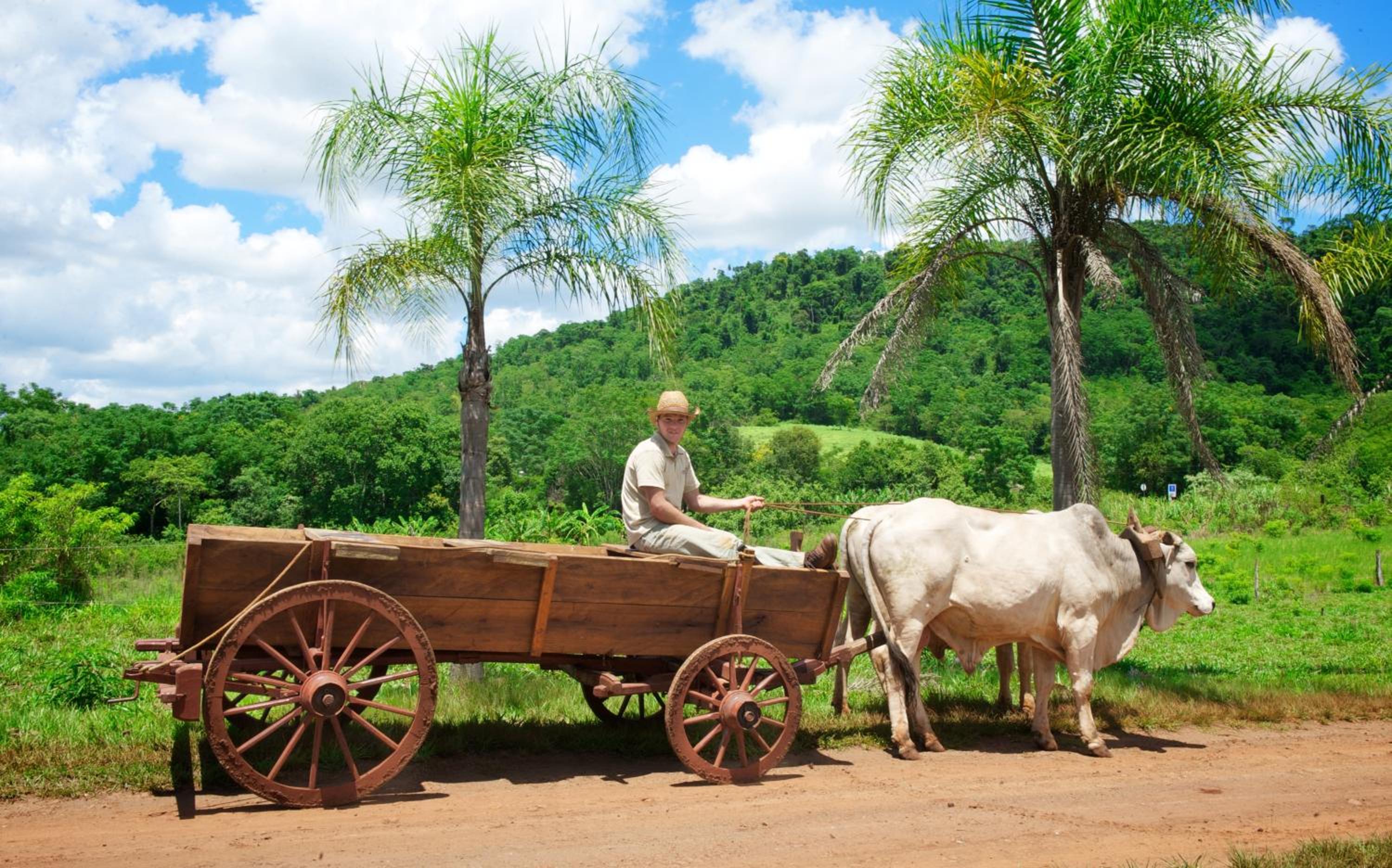 La Mision Mocona - Lodge de Selva