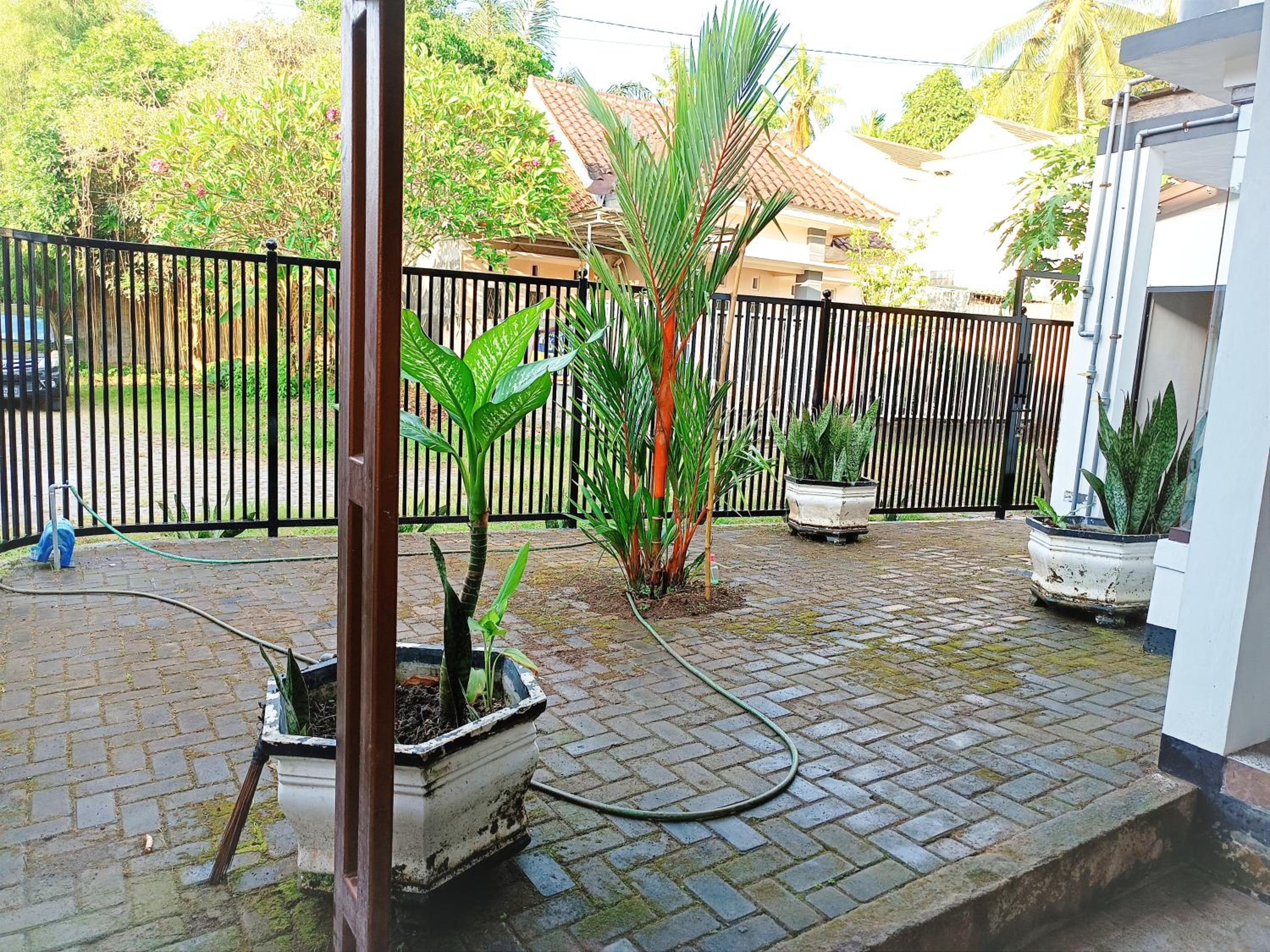 Photo 10