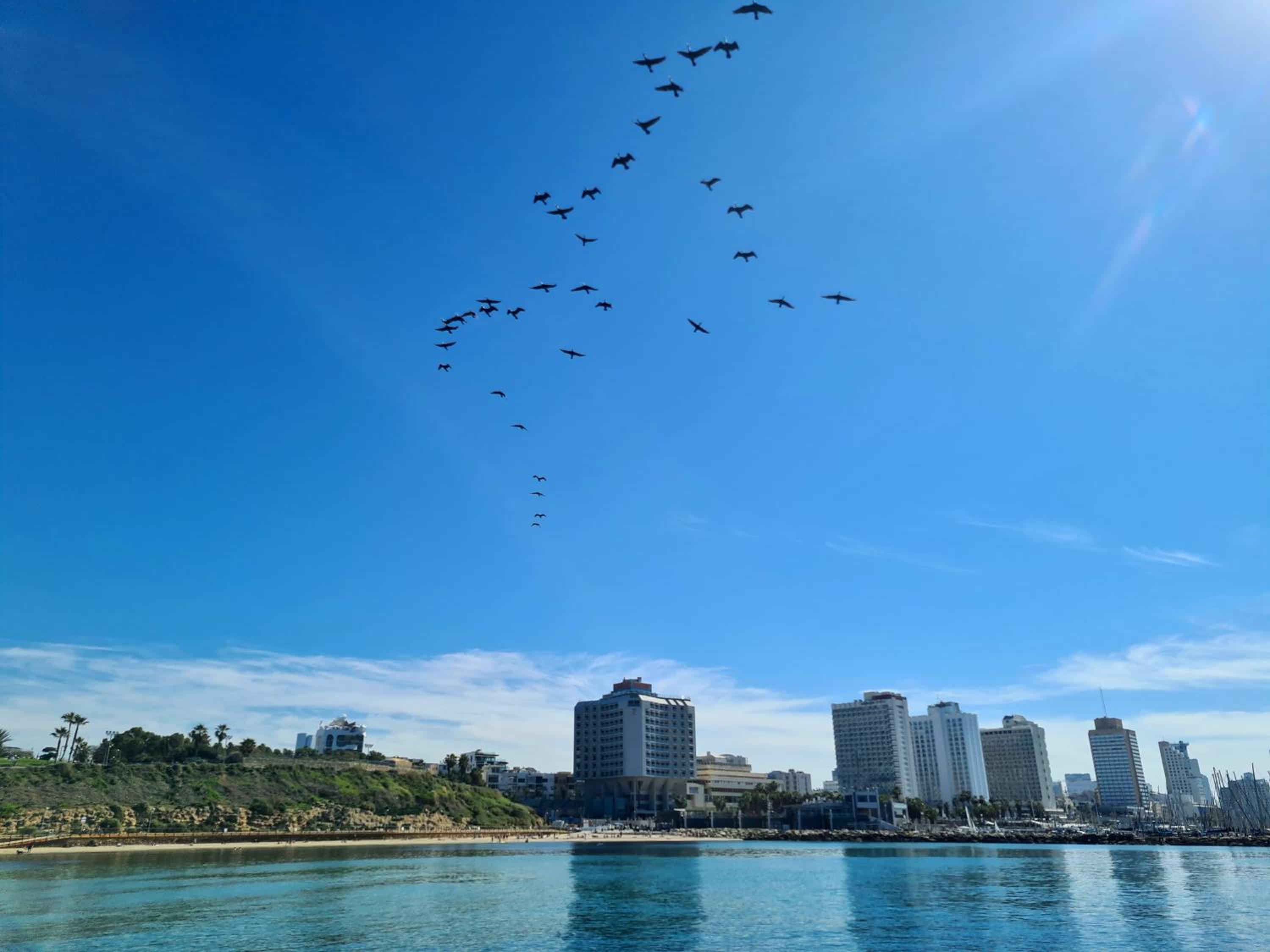 Amazing Sea view APT with parking at Royal Beach - By Beach Apartments TLV