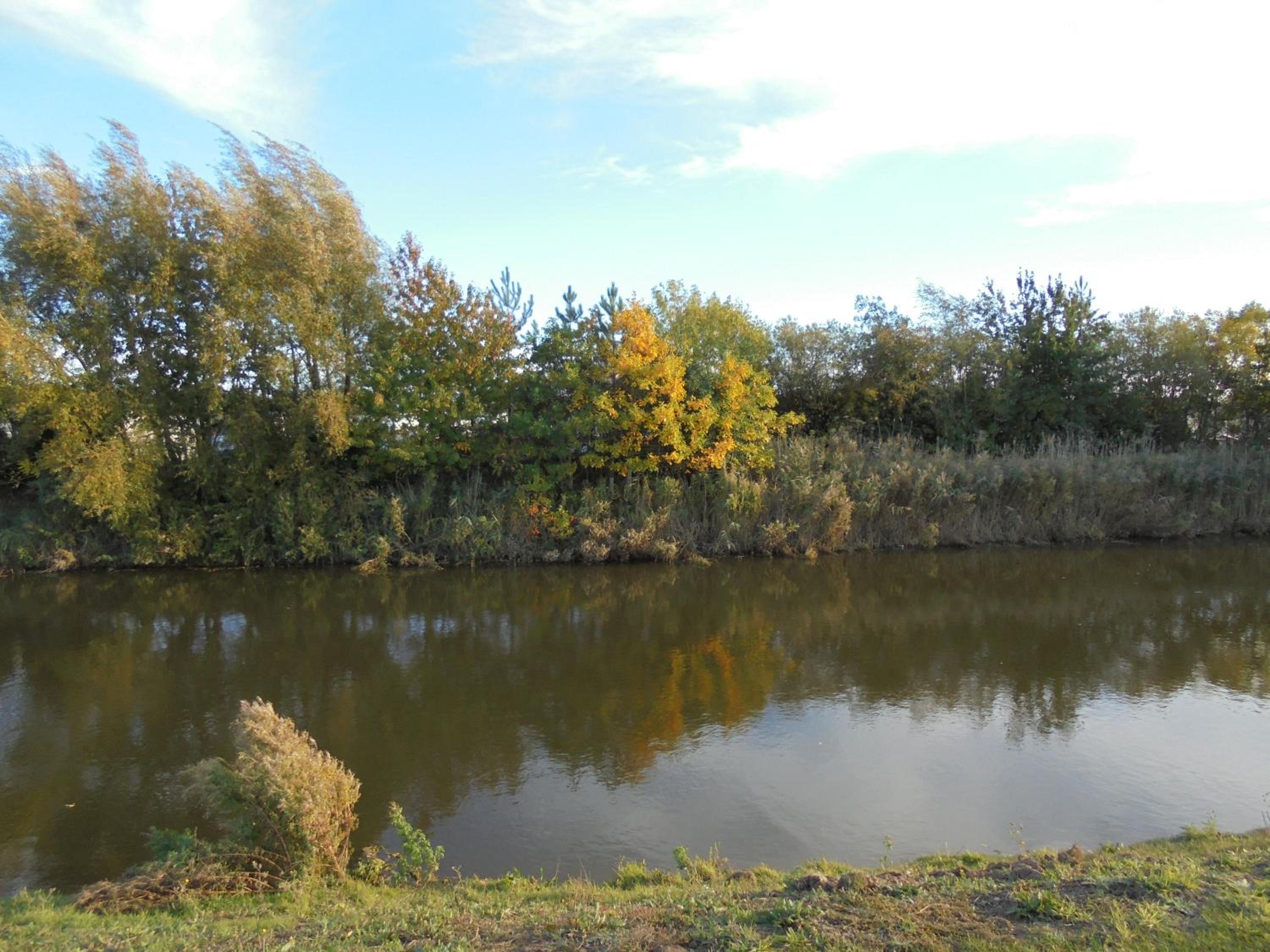 Photo 38