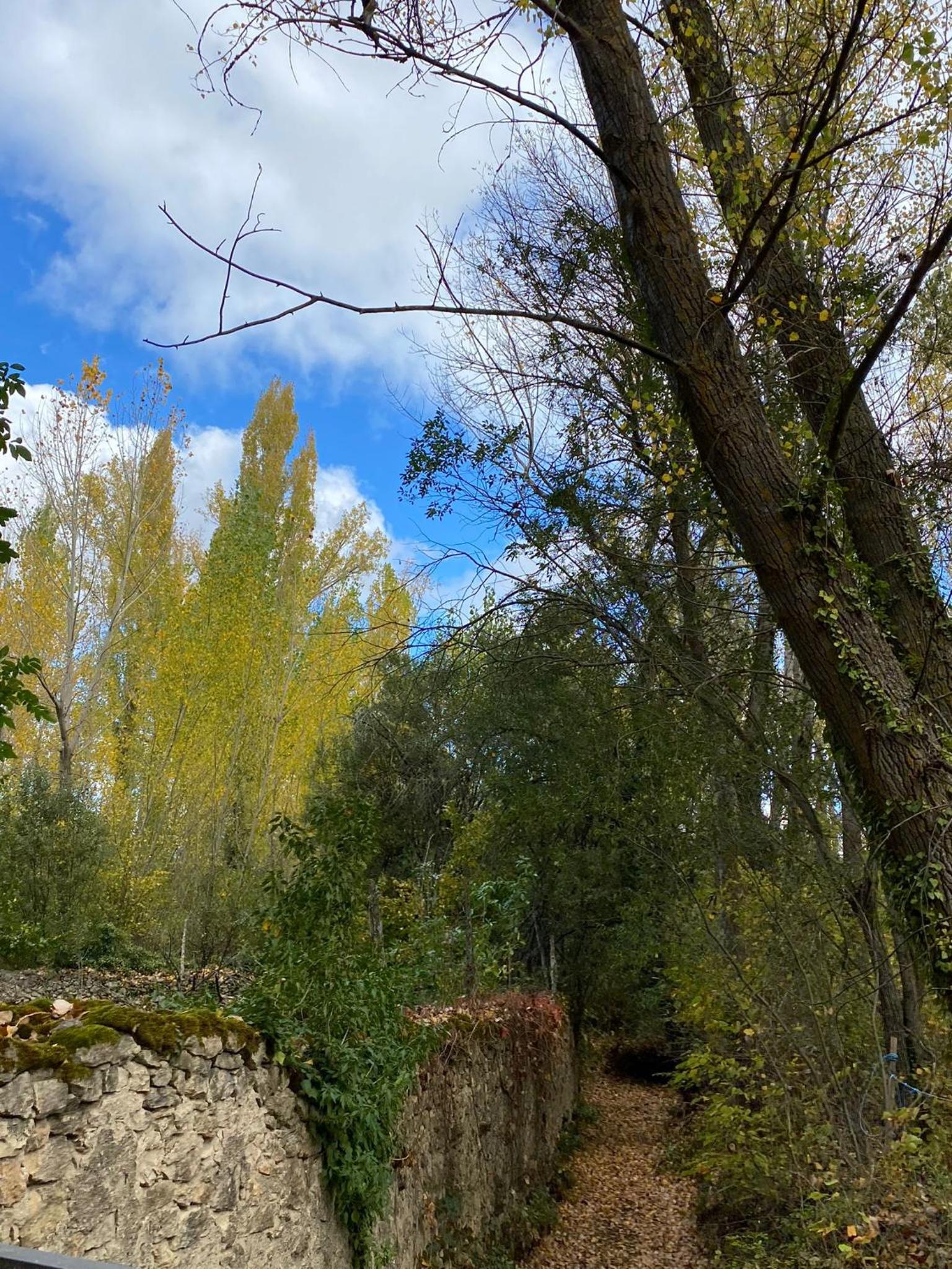 El Busque Casa Rural