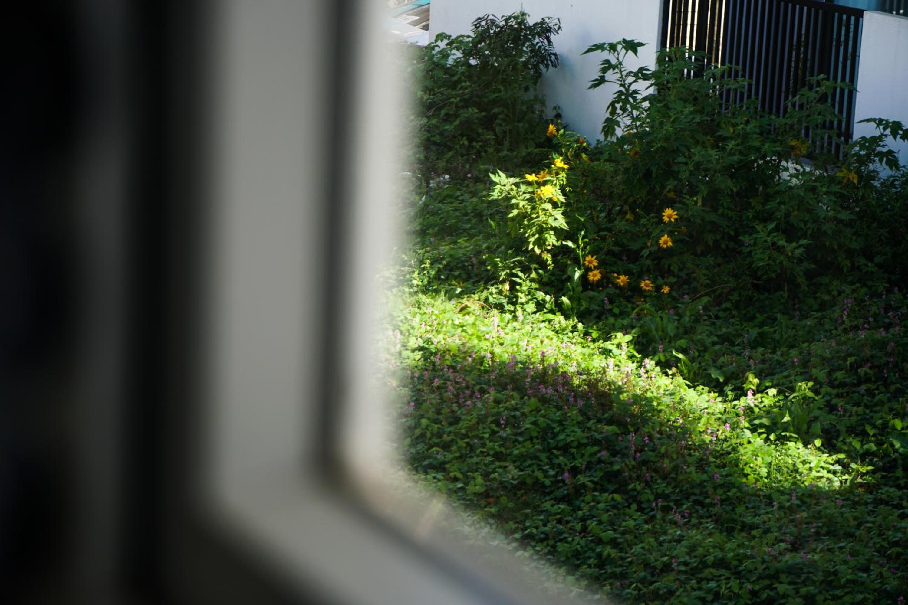 Photo 36