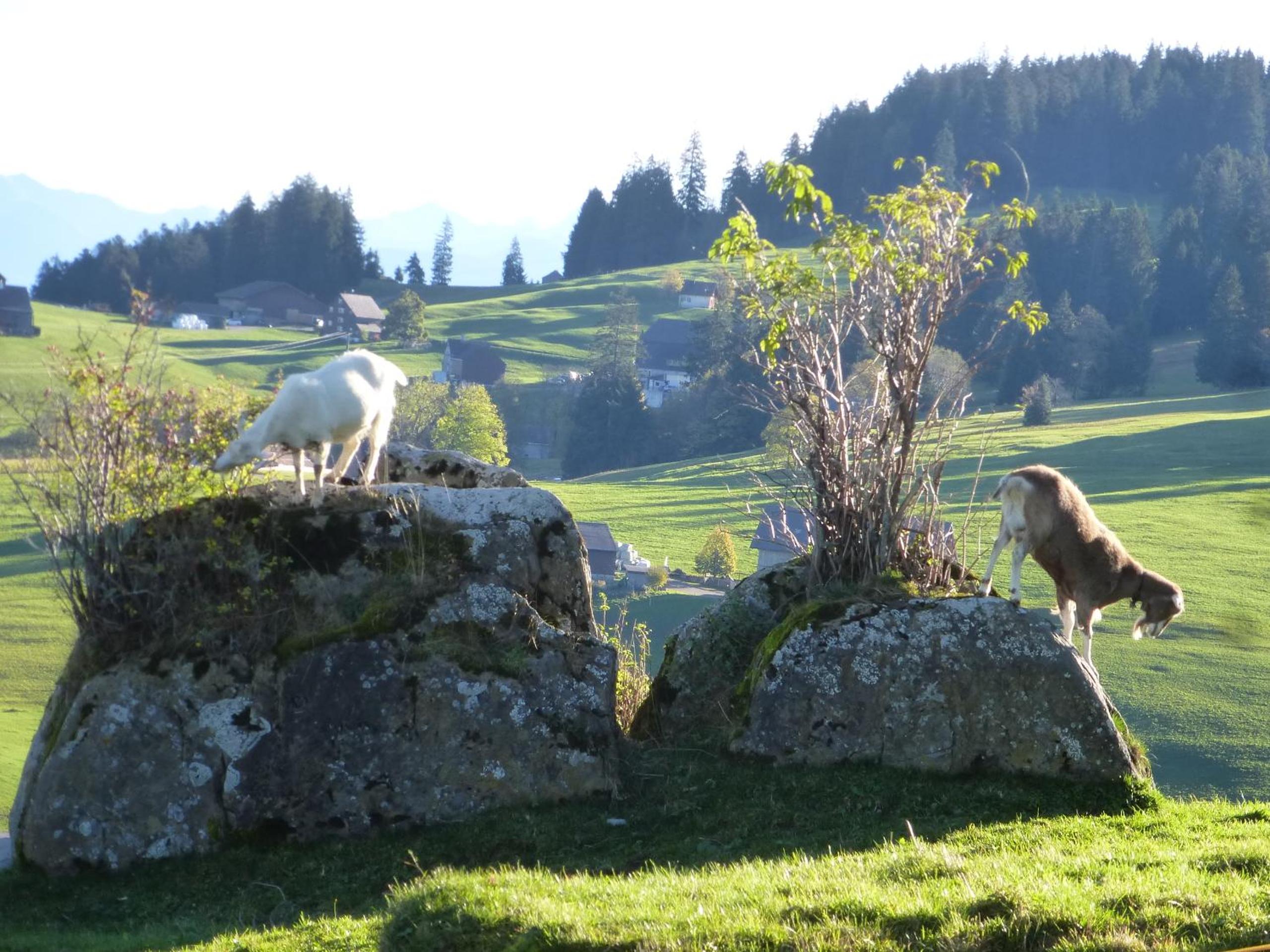 Ferienhaus Oberguet