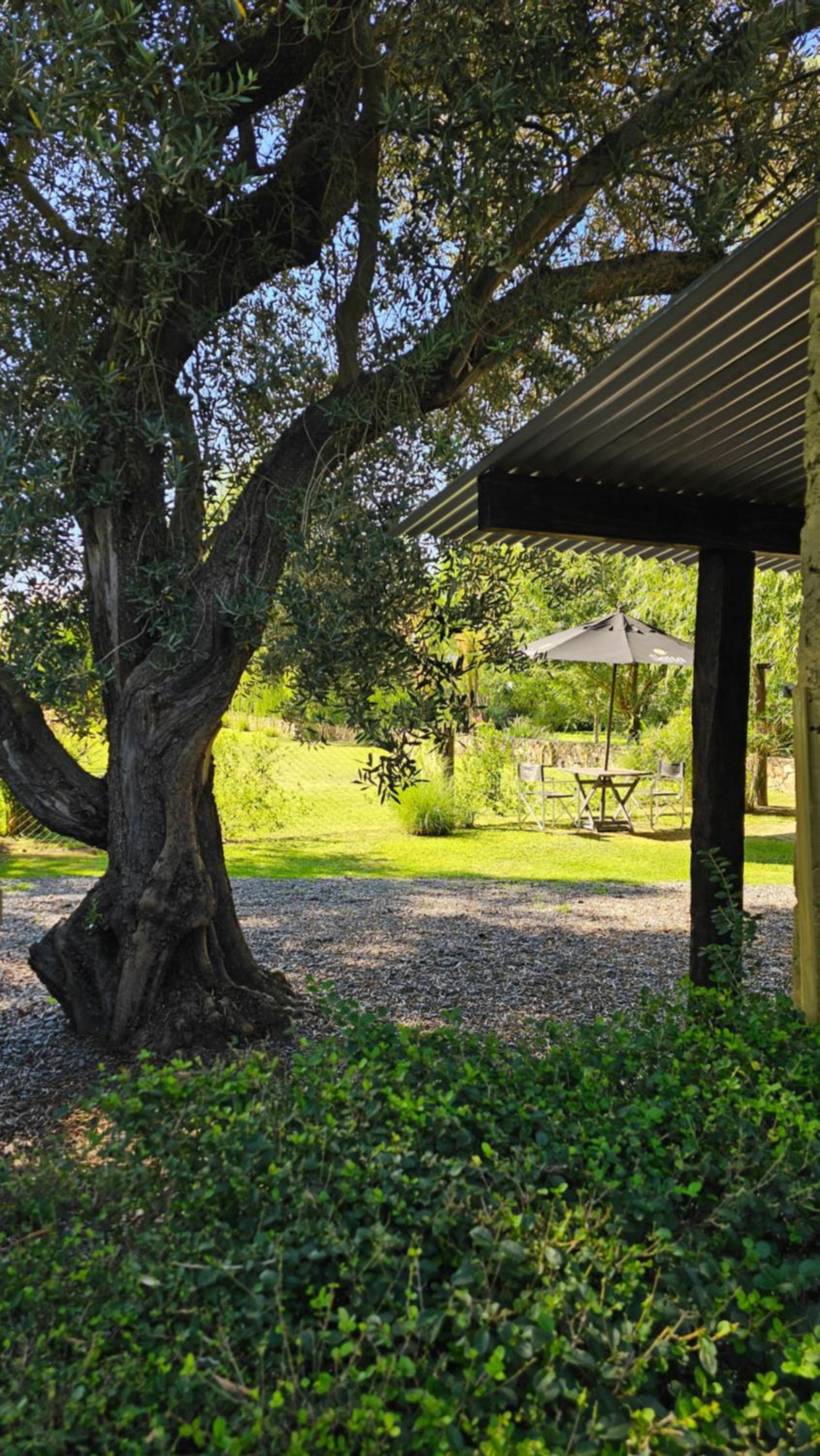 Posada del Santo Green & Rest - Cabañas