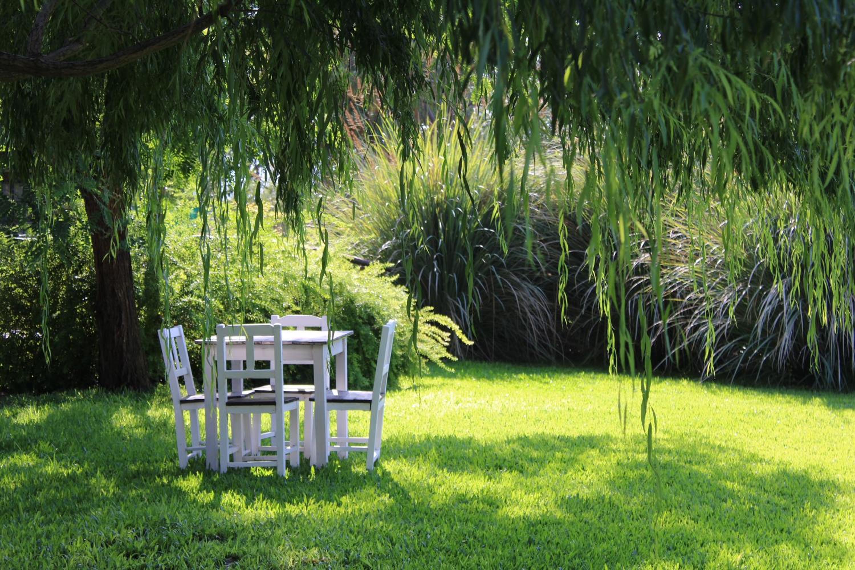 Posada del Santo Green & Rest - Cabañas