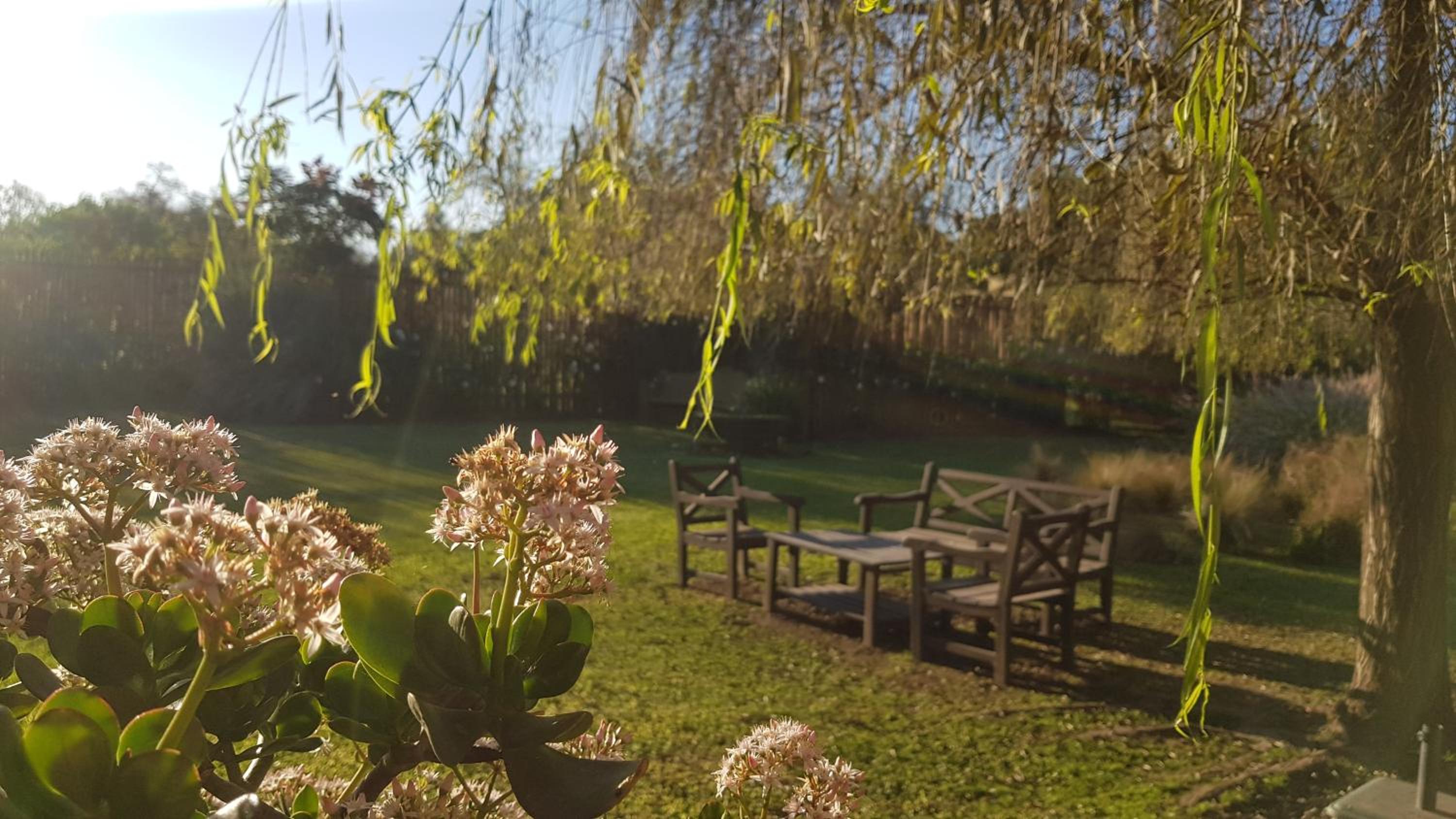 Posada del Santo Green & Rest - Cabañas