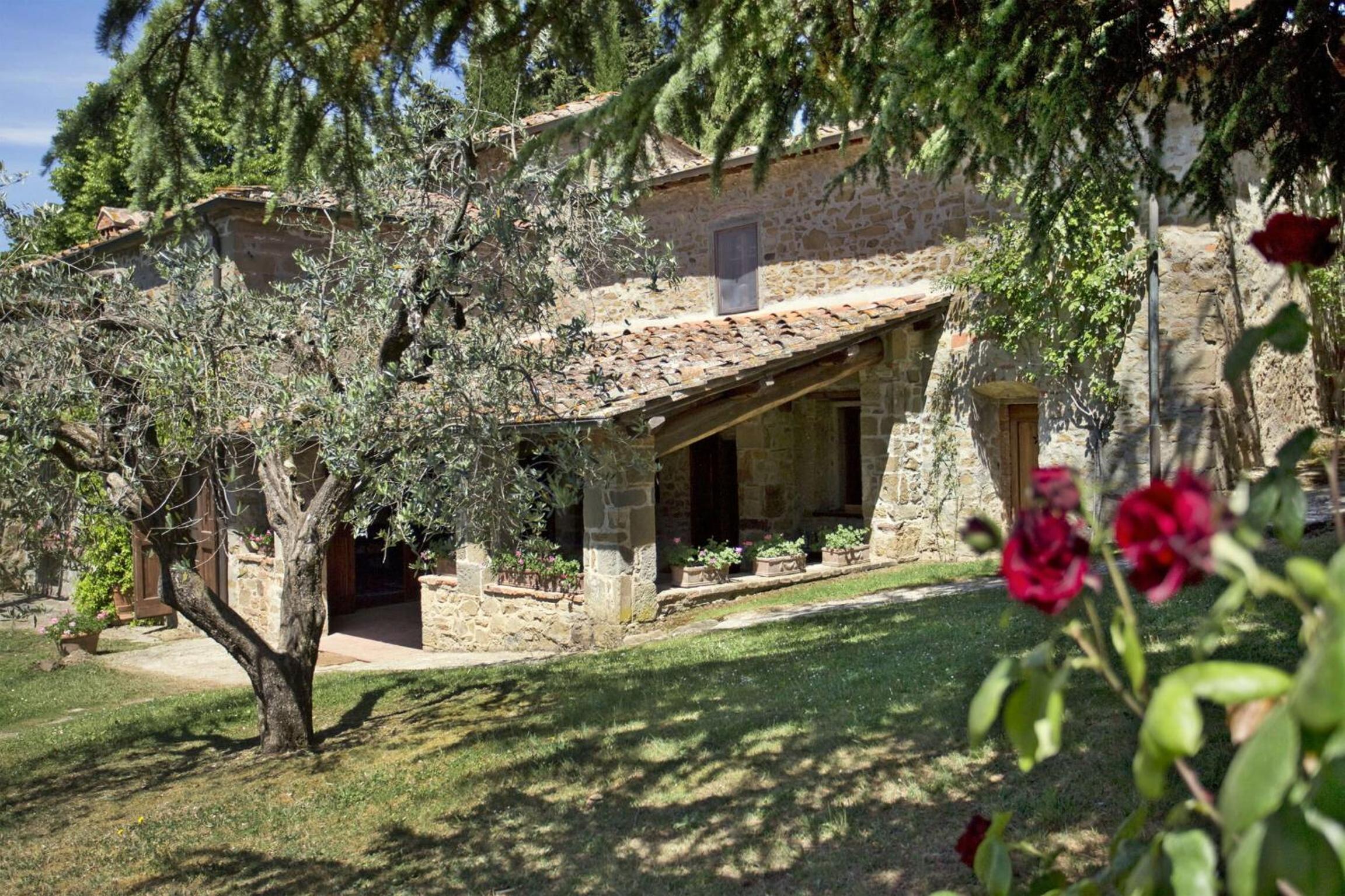 Photo 25