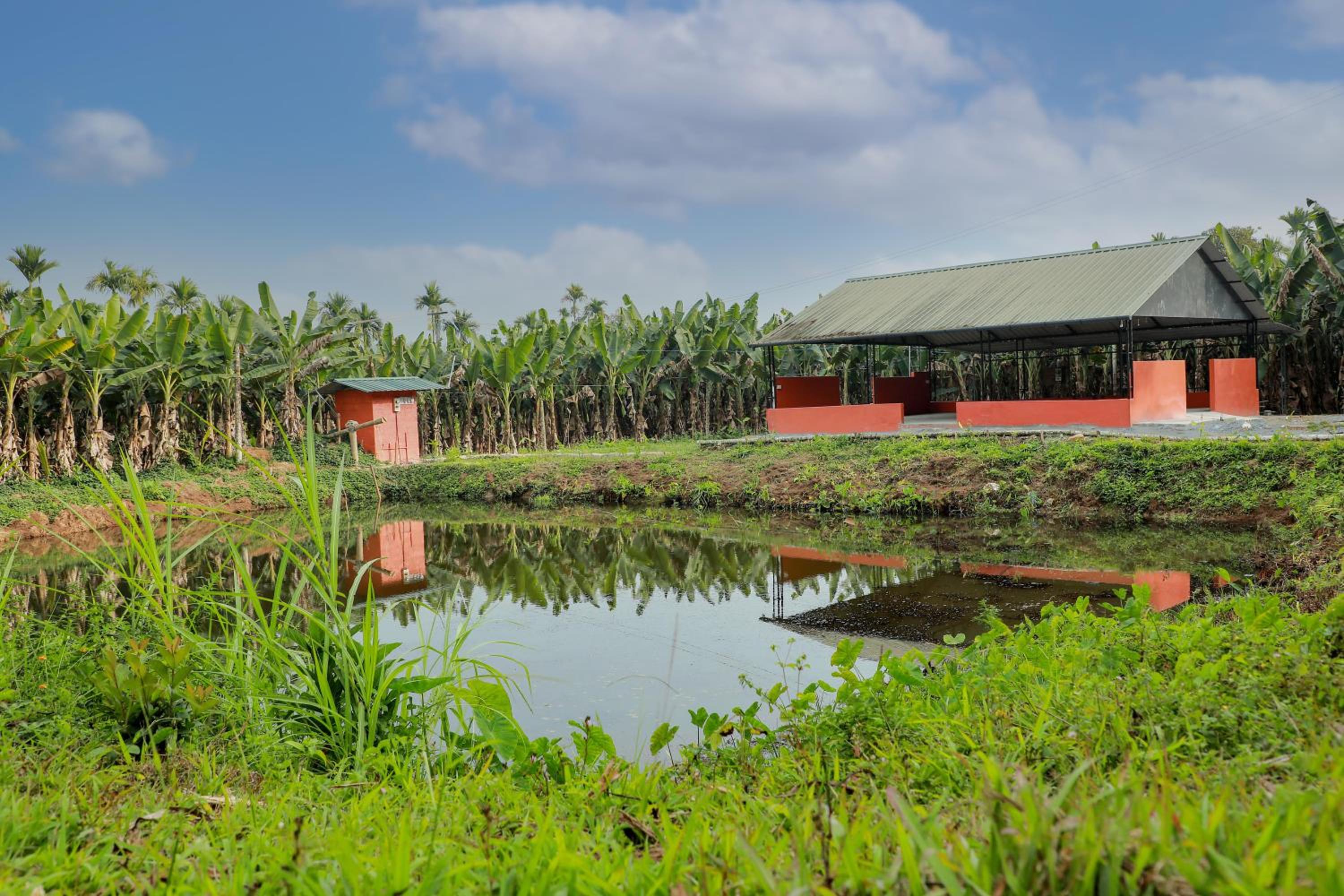 Kudajadri Drizzle Homestay view 3