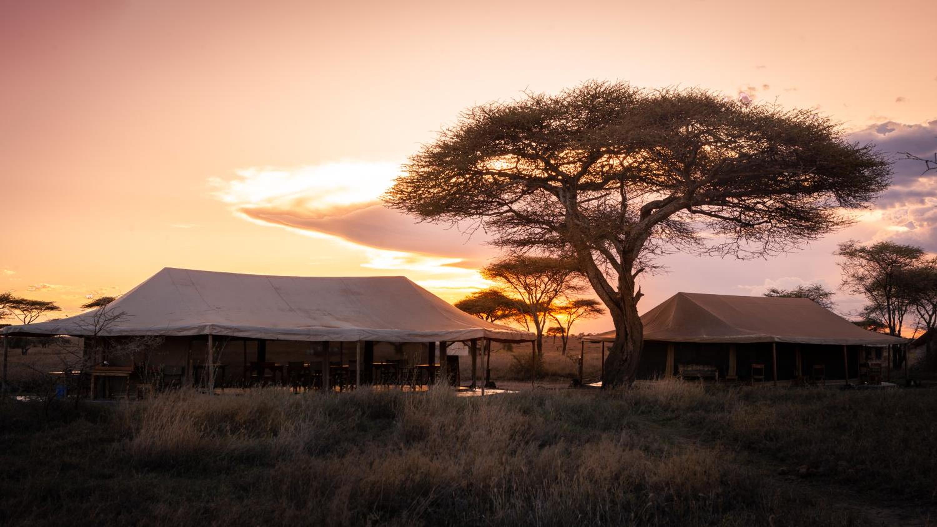 Mawe Tented Camp