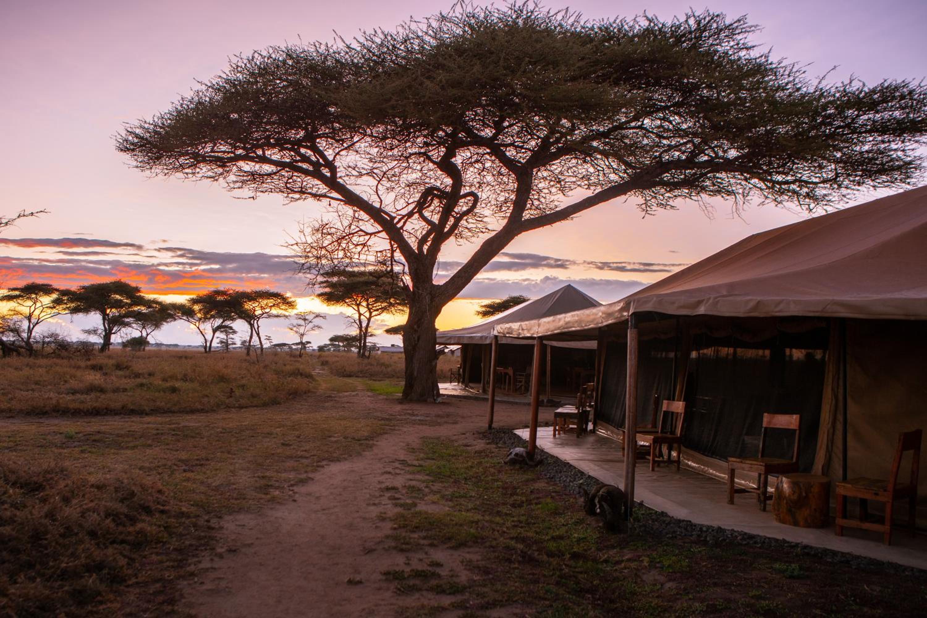 Mawe Tented Camp