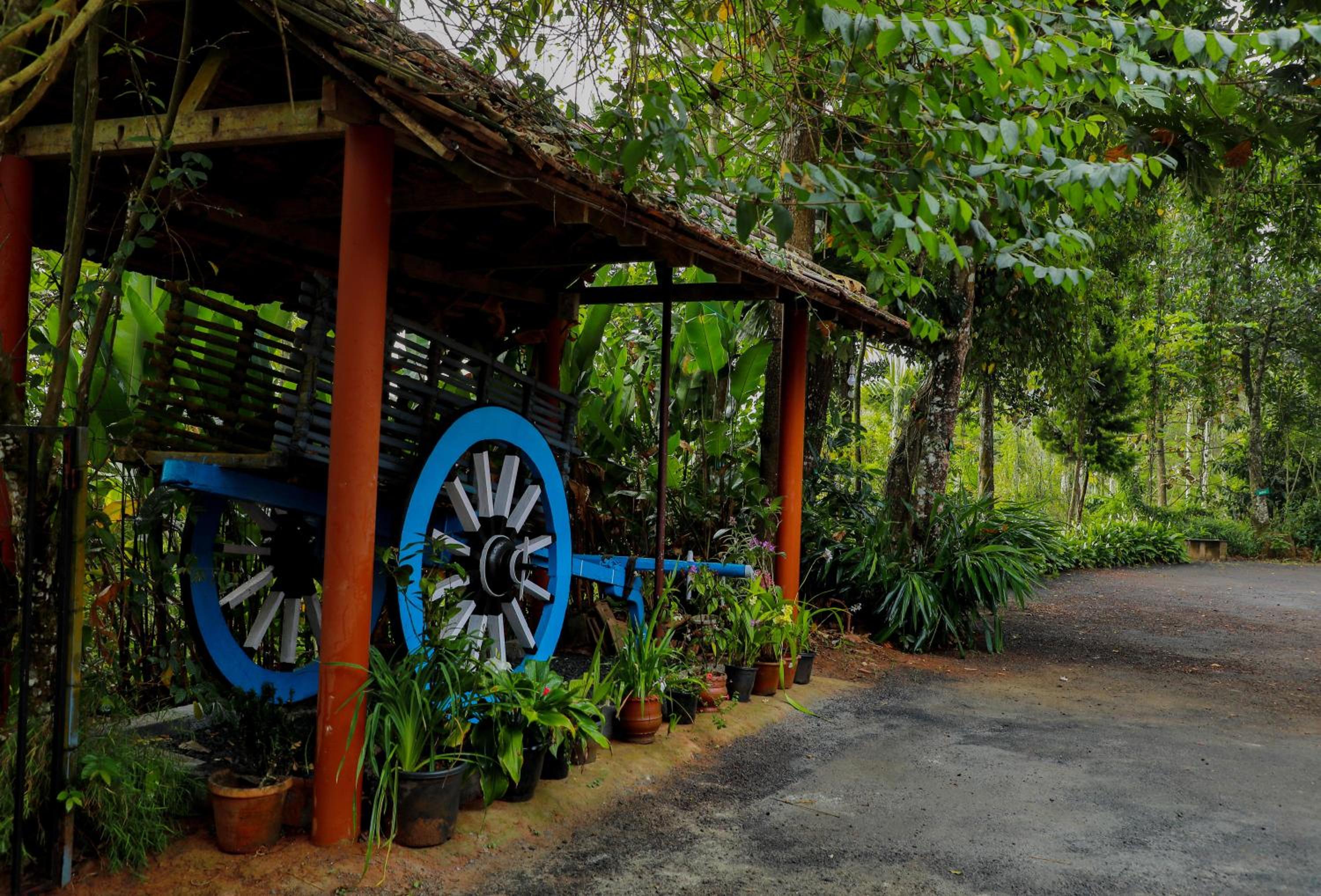 Kudajadri Drizzle Homestay view 2