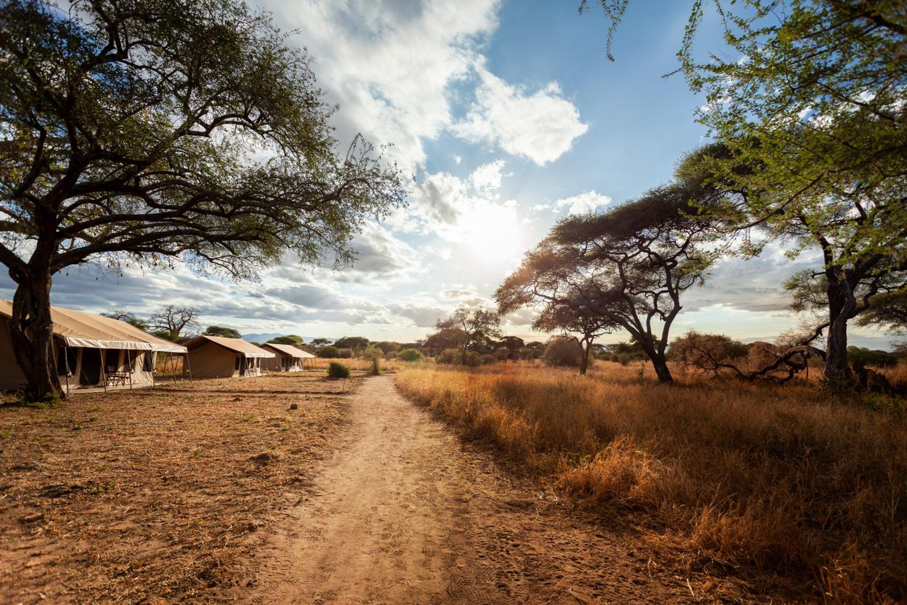 Baobab Tented Camp