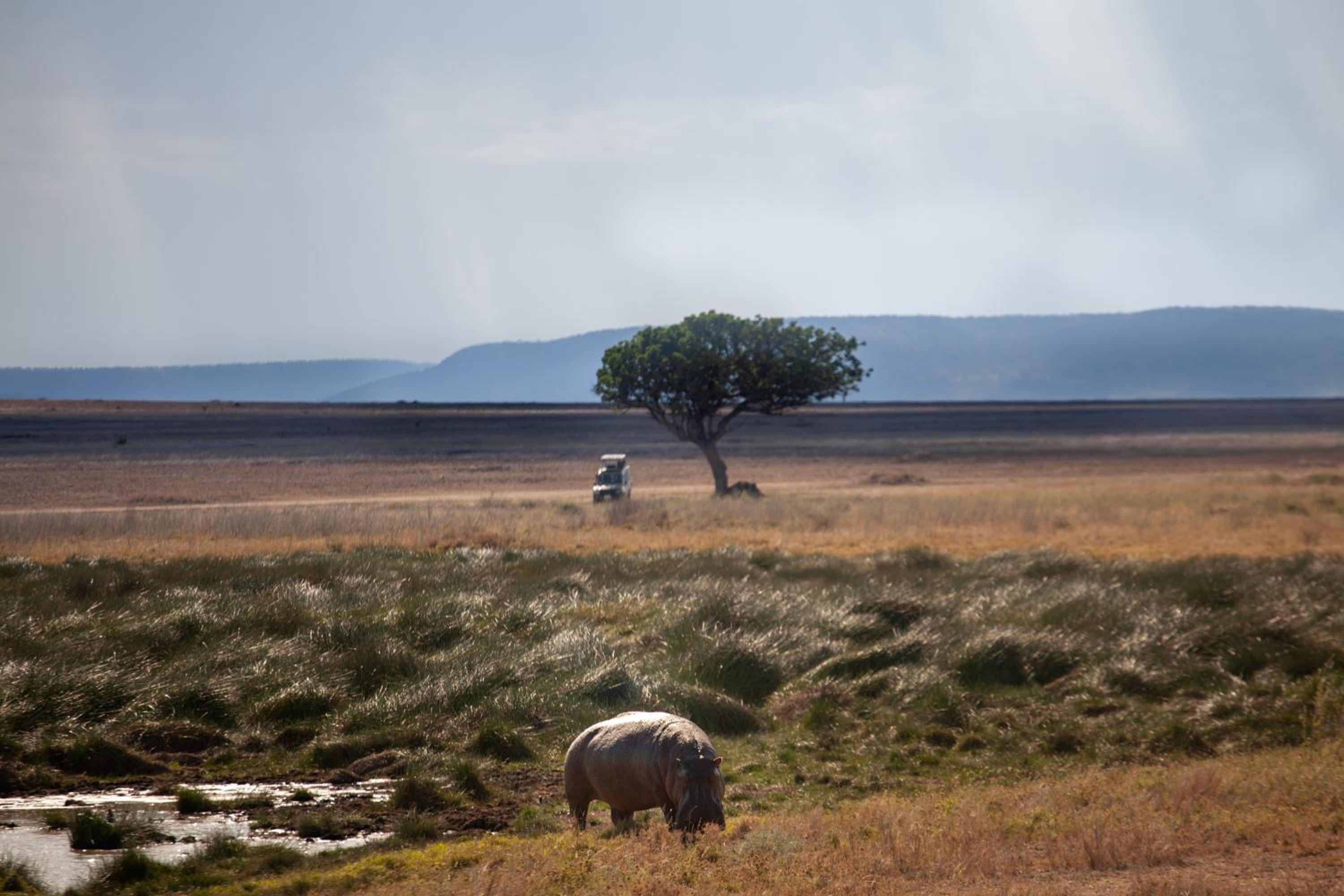 Mawe Tented Camp