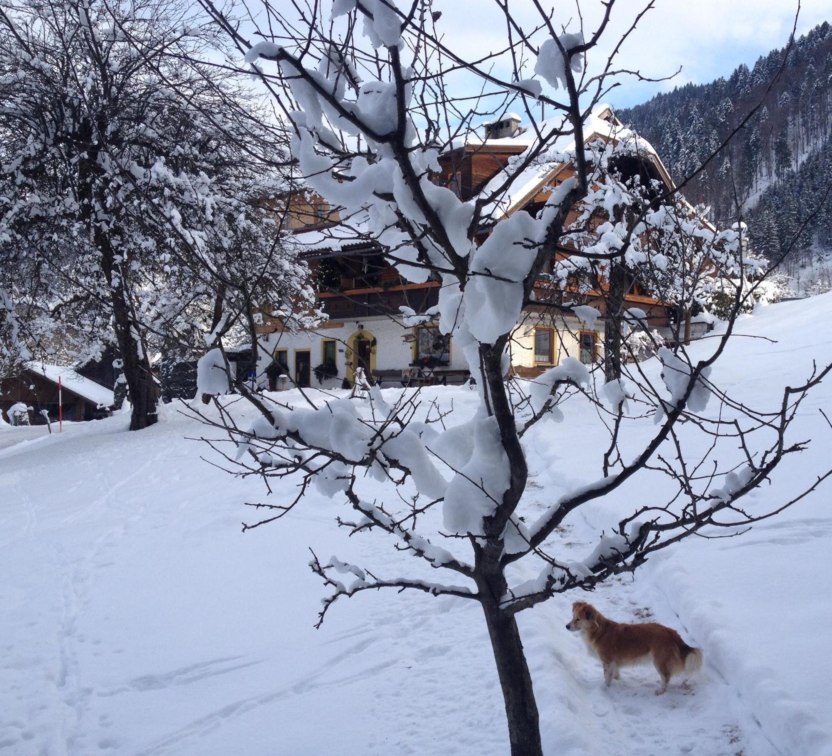 Haus Maria