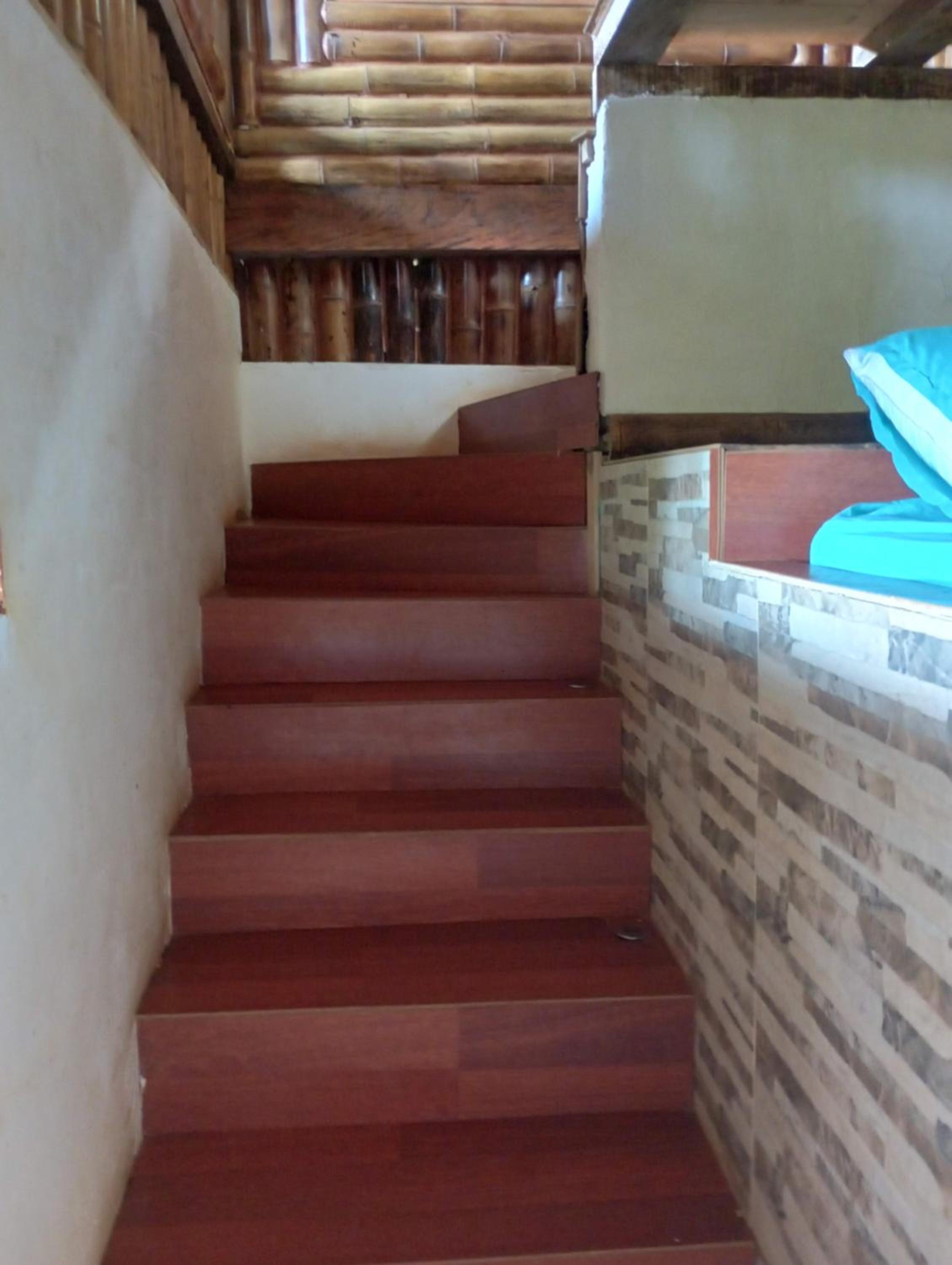 Finca Colibrí Zafiro, Altos del Rosario