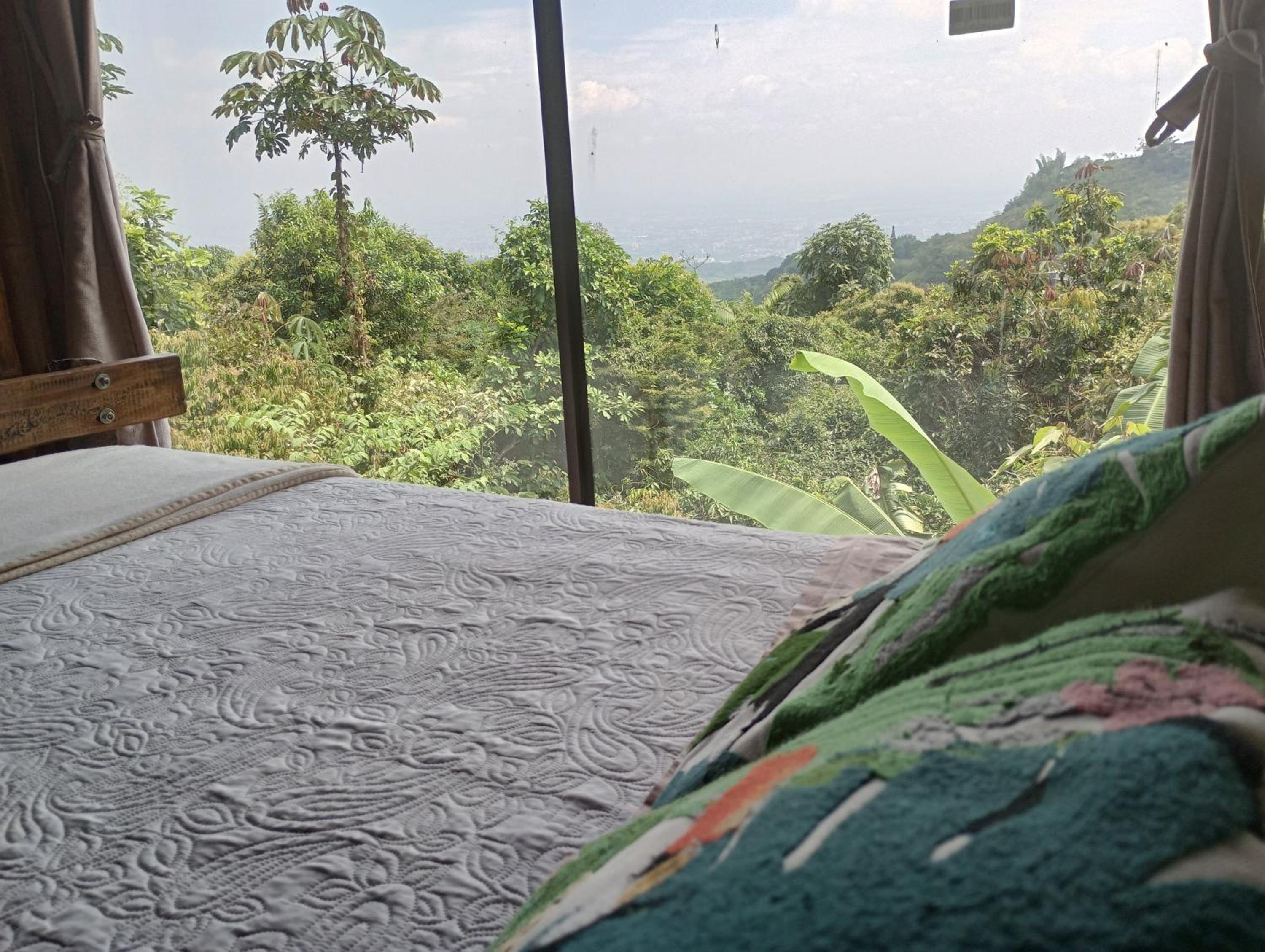 Finca Colibrí Zafiro, Altos del Rosario