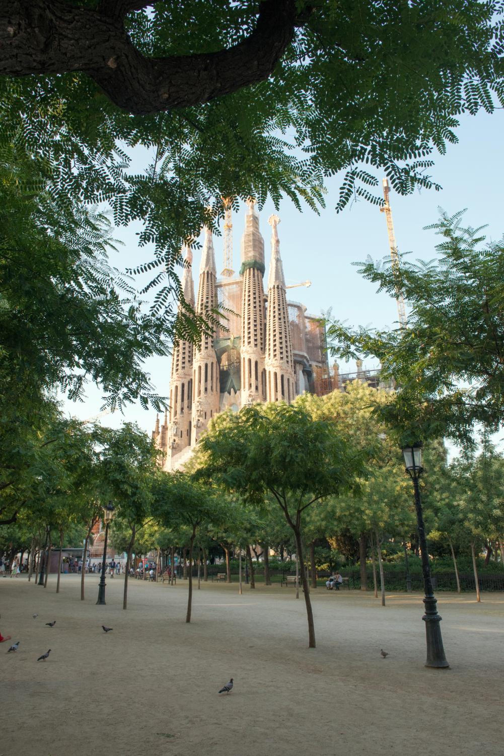 Sunny and Quiet Sagrada Familia
