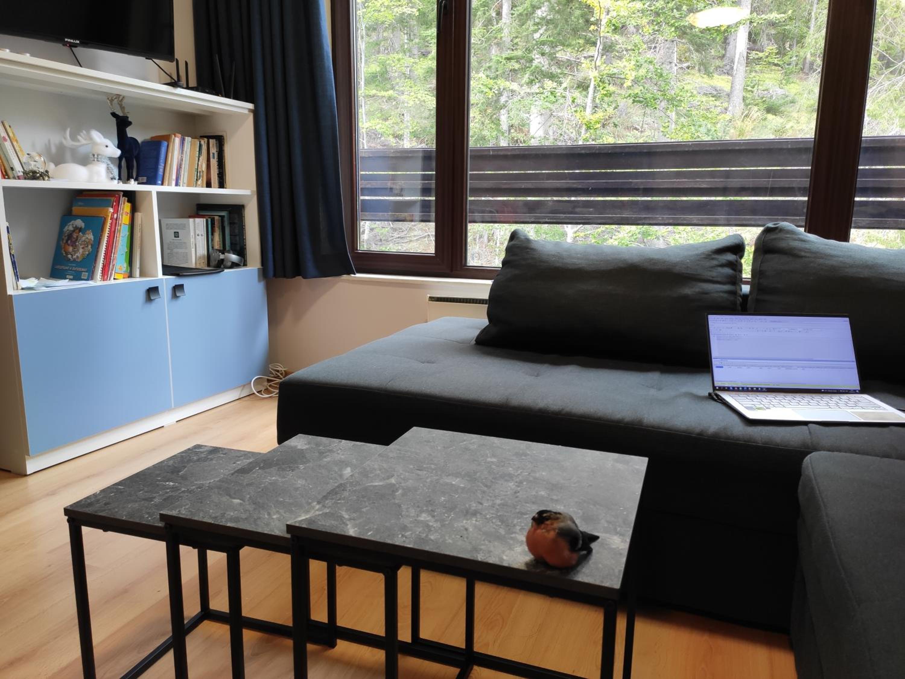 Forest Dream Apartment - Elit Pamporovo