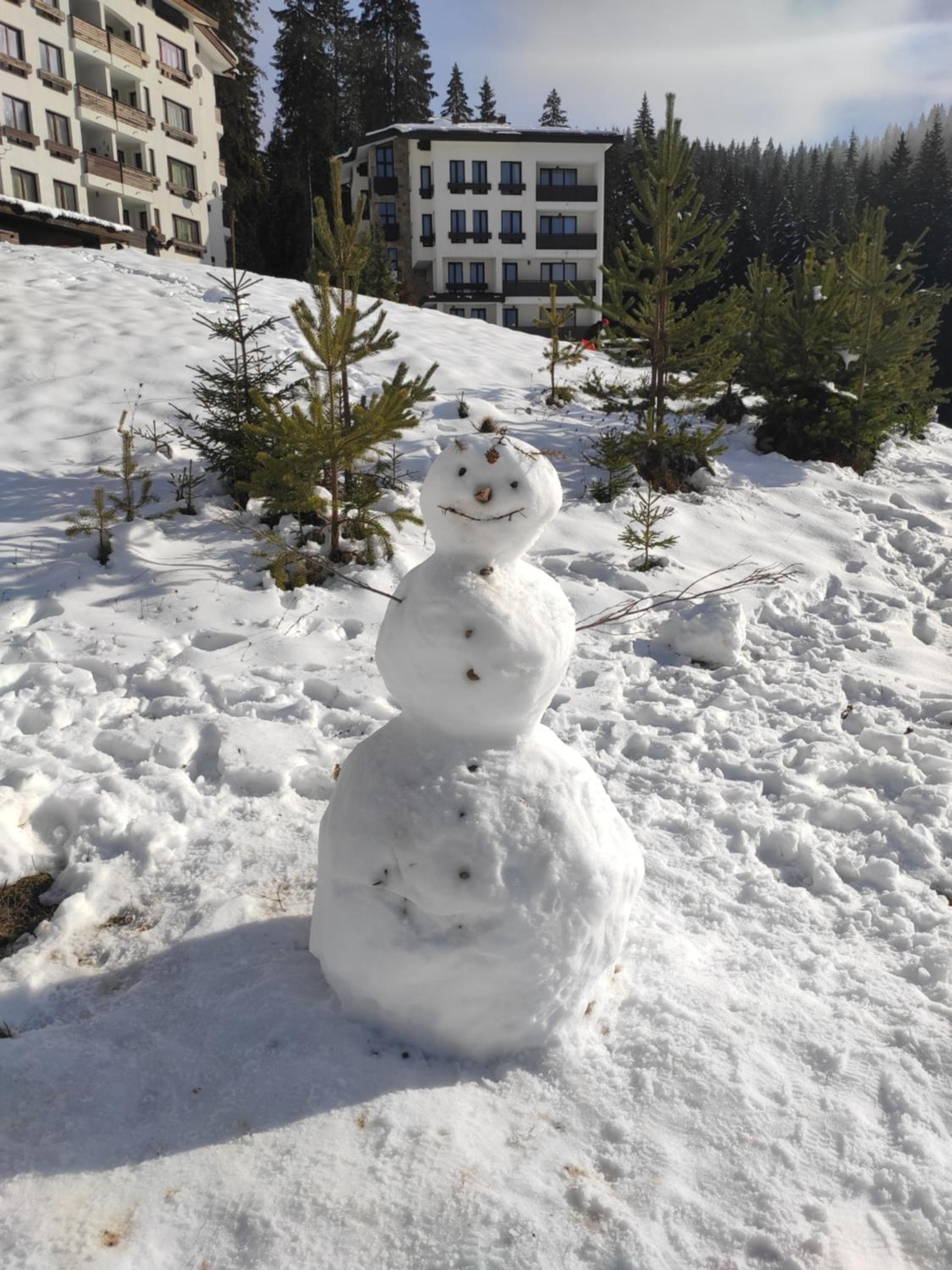 Forest Dream Apartment - Elit Pamporovo