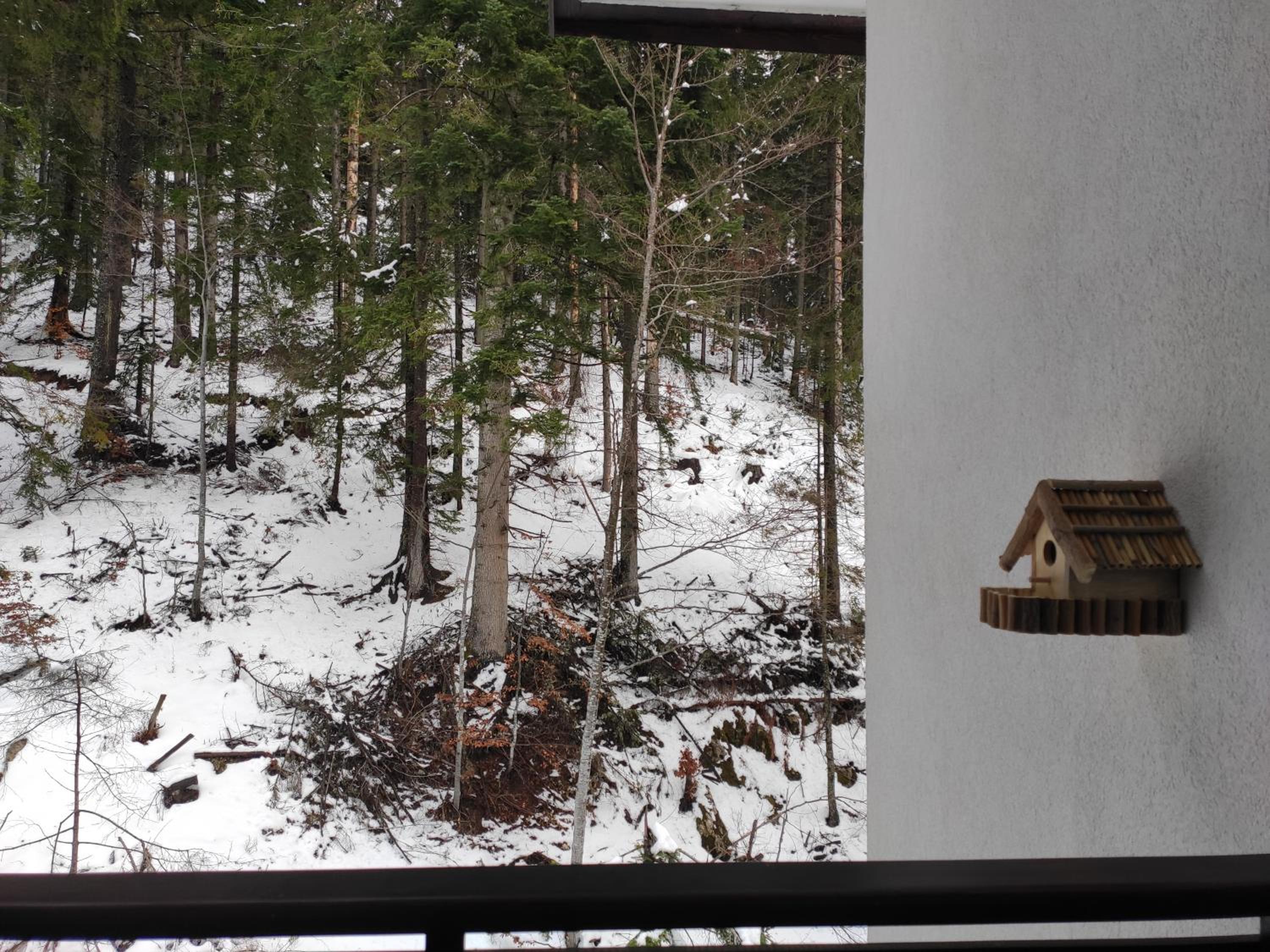 Forest Dream Apartment - Elit Pamporovo