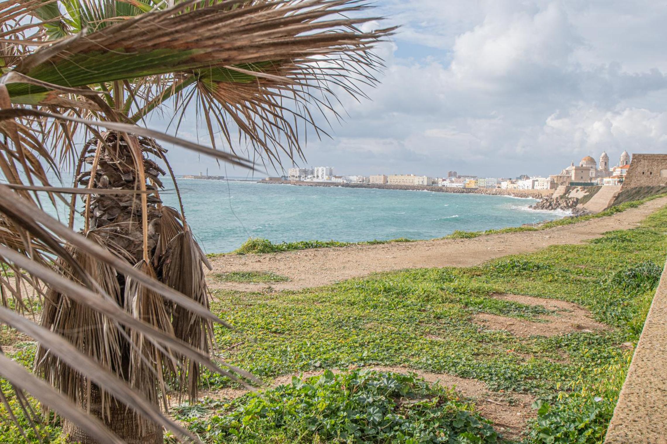 Apartamento La Luna Nueva en Cádiz