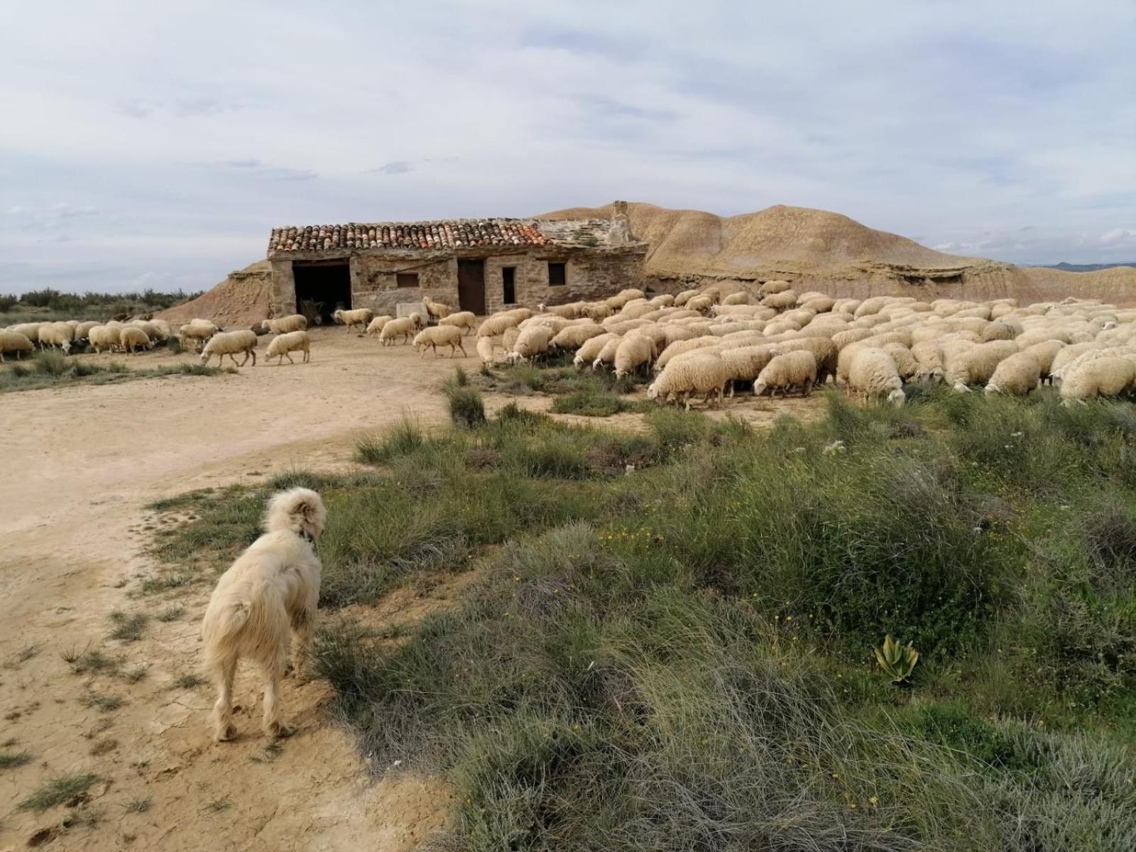 Alojamientos La Alberca