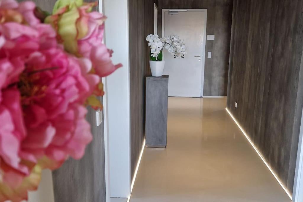 Exklusives Design-Penthouse MC1