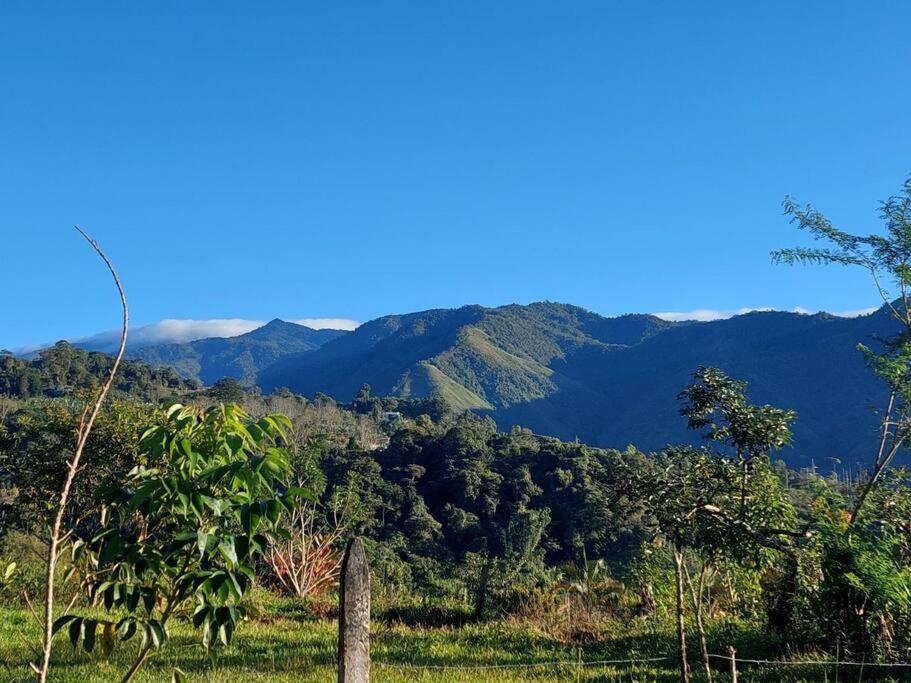 Jessie's Country House Rivas