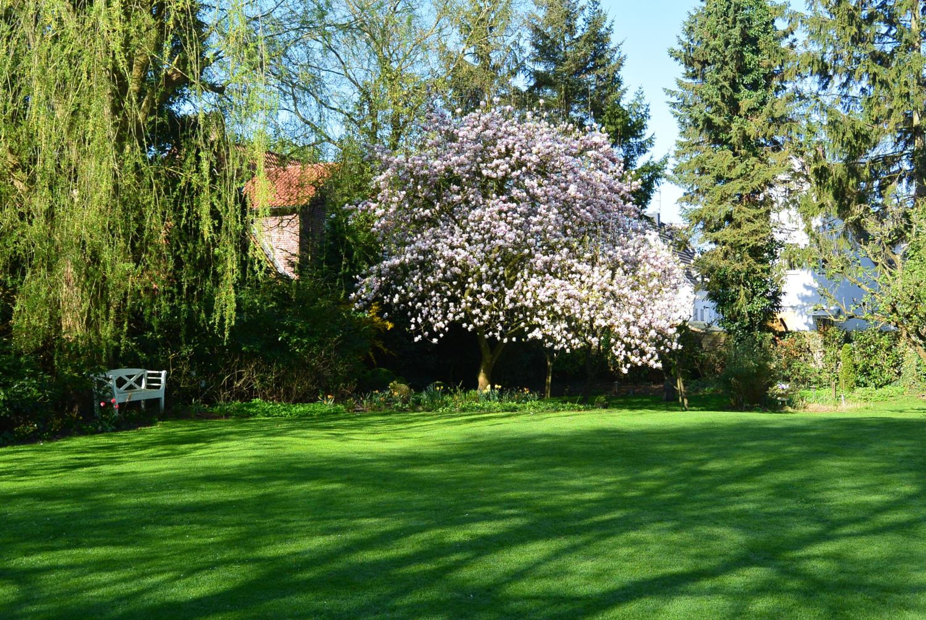 Apartment am Bürgerpark
