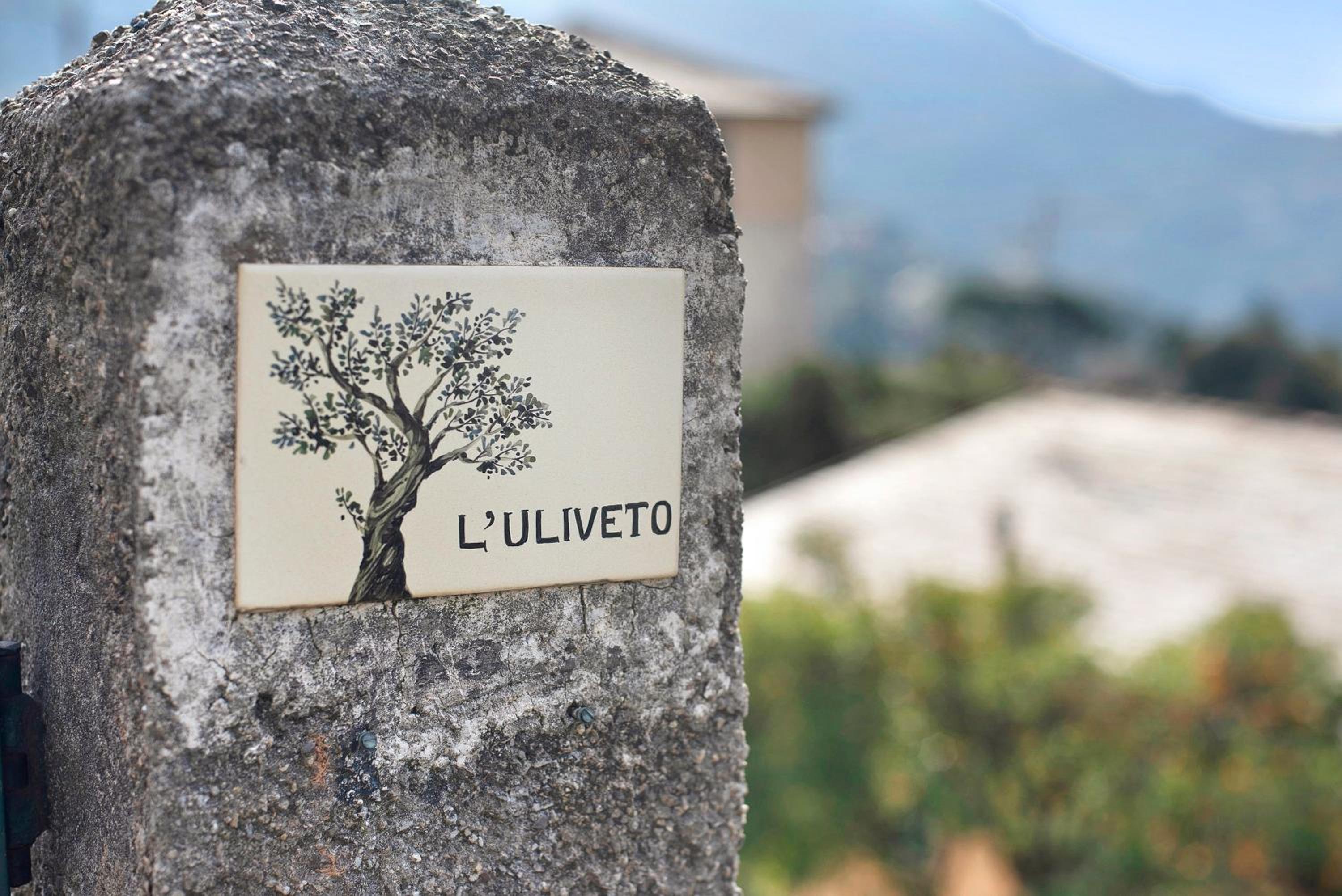 Uliveto