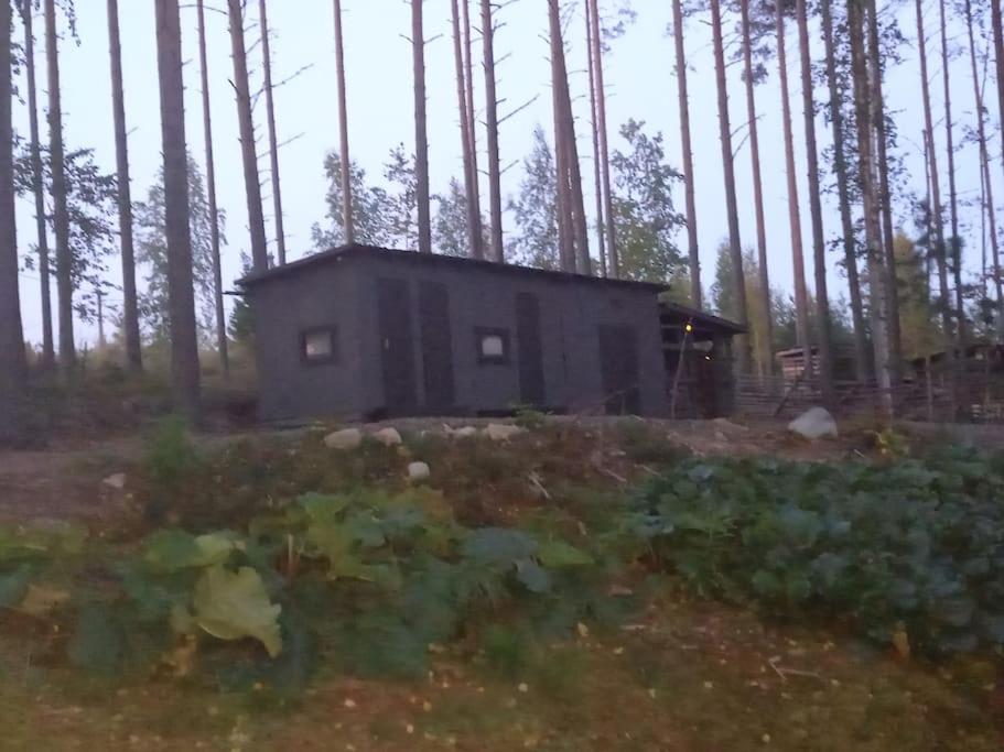 Mökki Salakka Rääkkylä Pohjois-Karjala