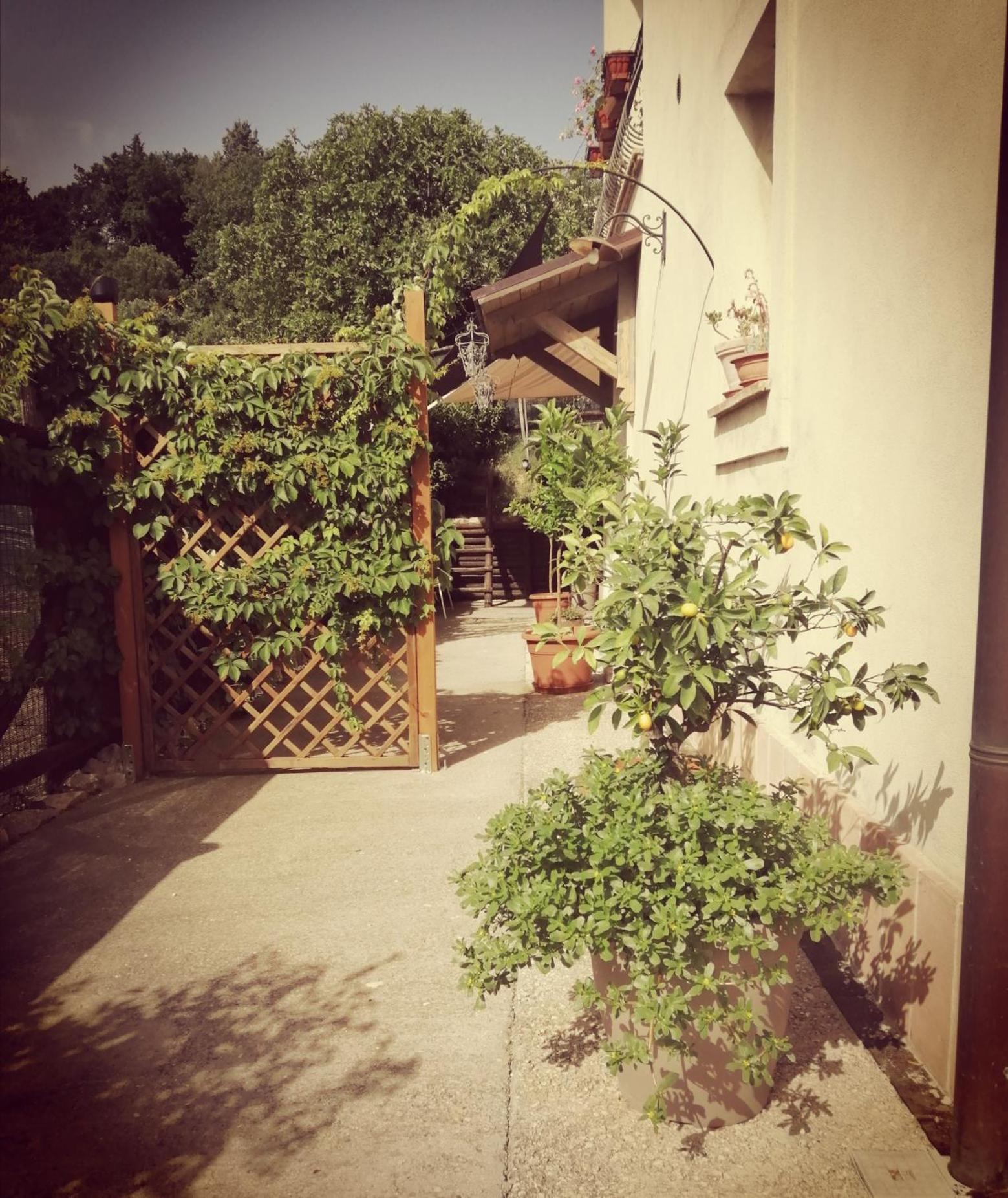 Photo 8