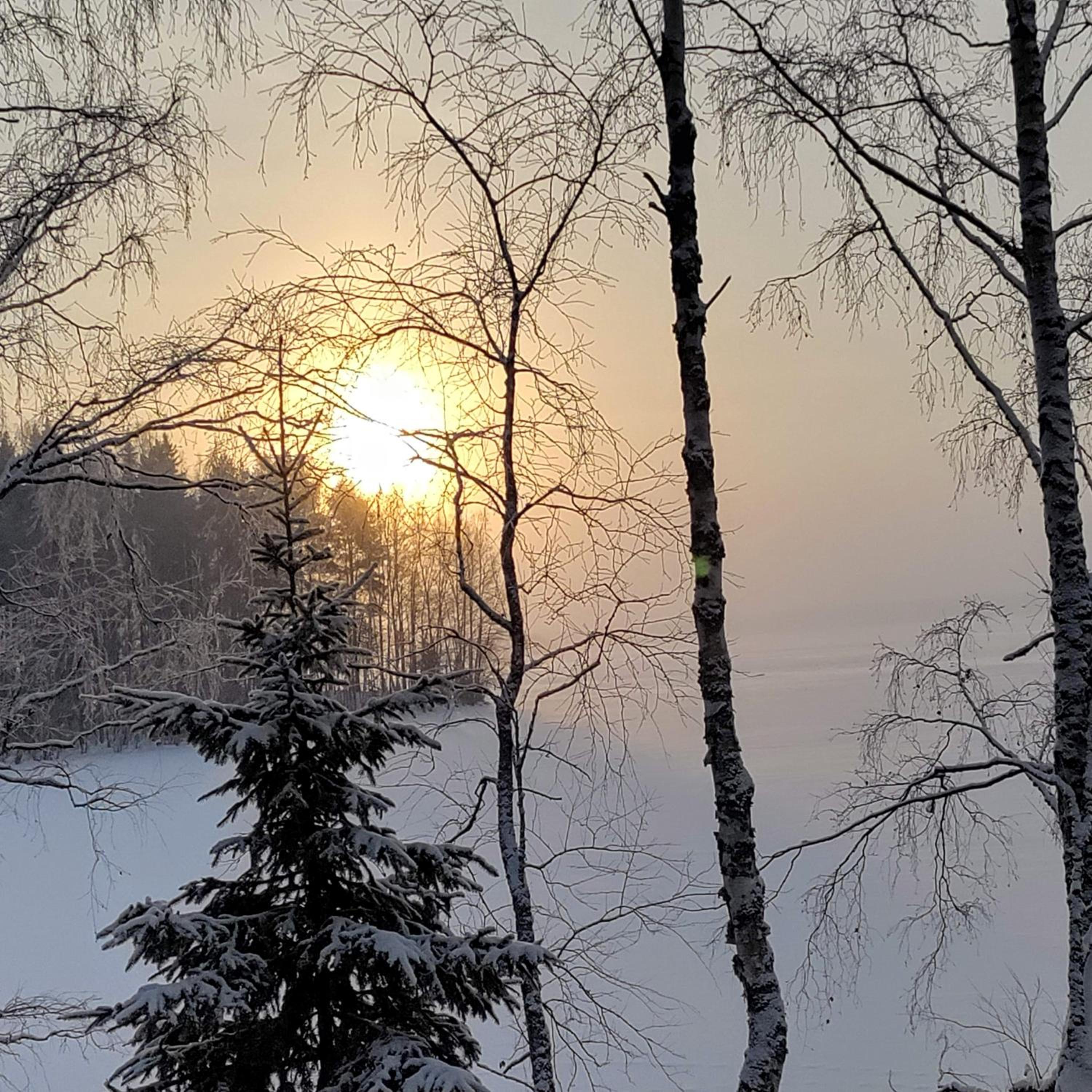 Mökki Salakka Rääkkylä Pohjois-Karjala