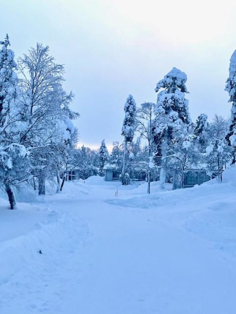 Saariselkä Viima E13 view 5