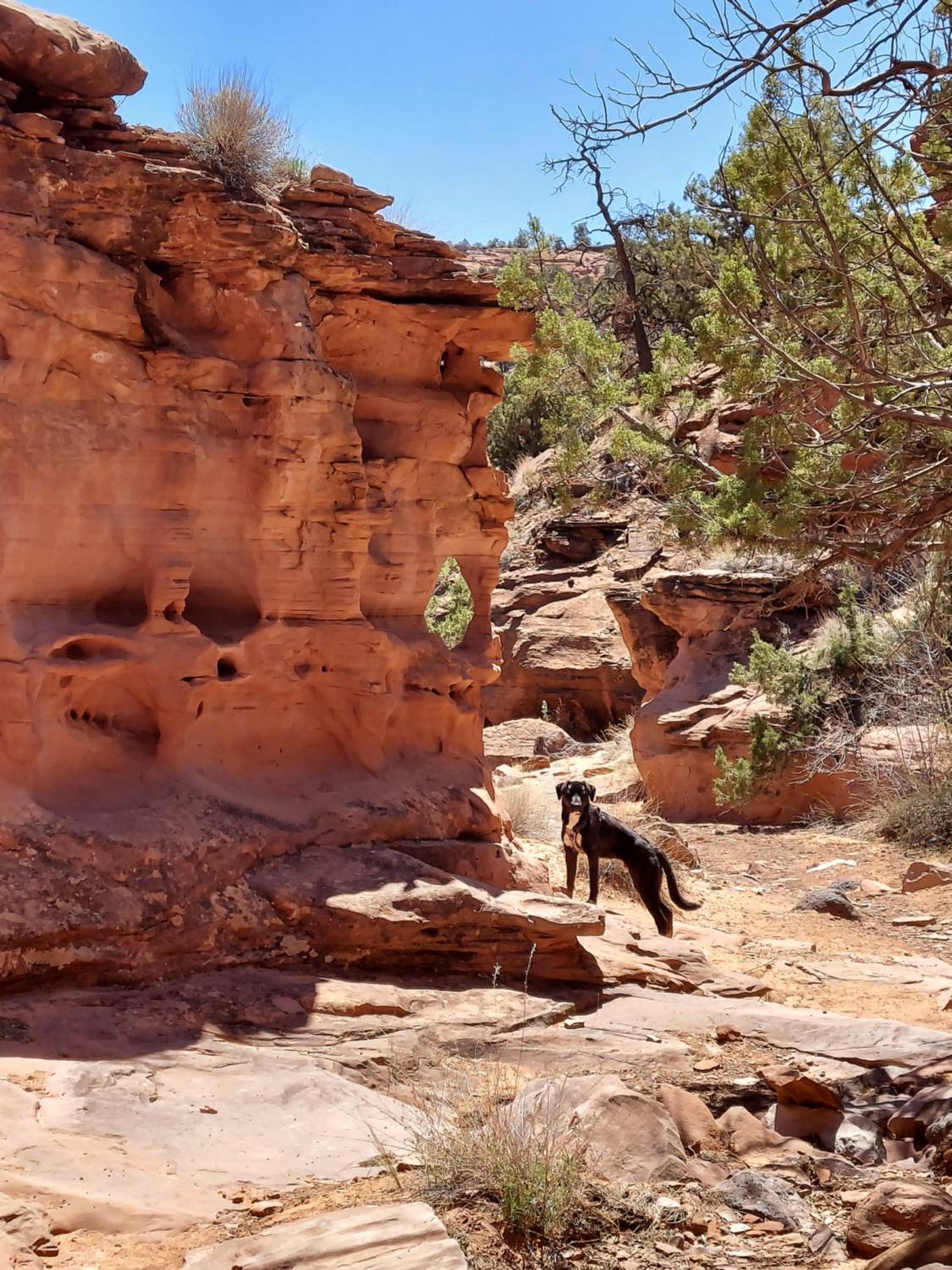 Canyons Of Escalante RV Park