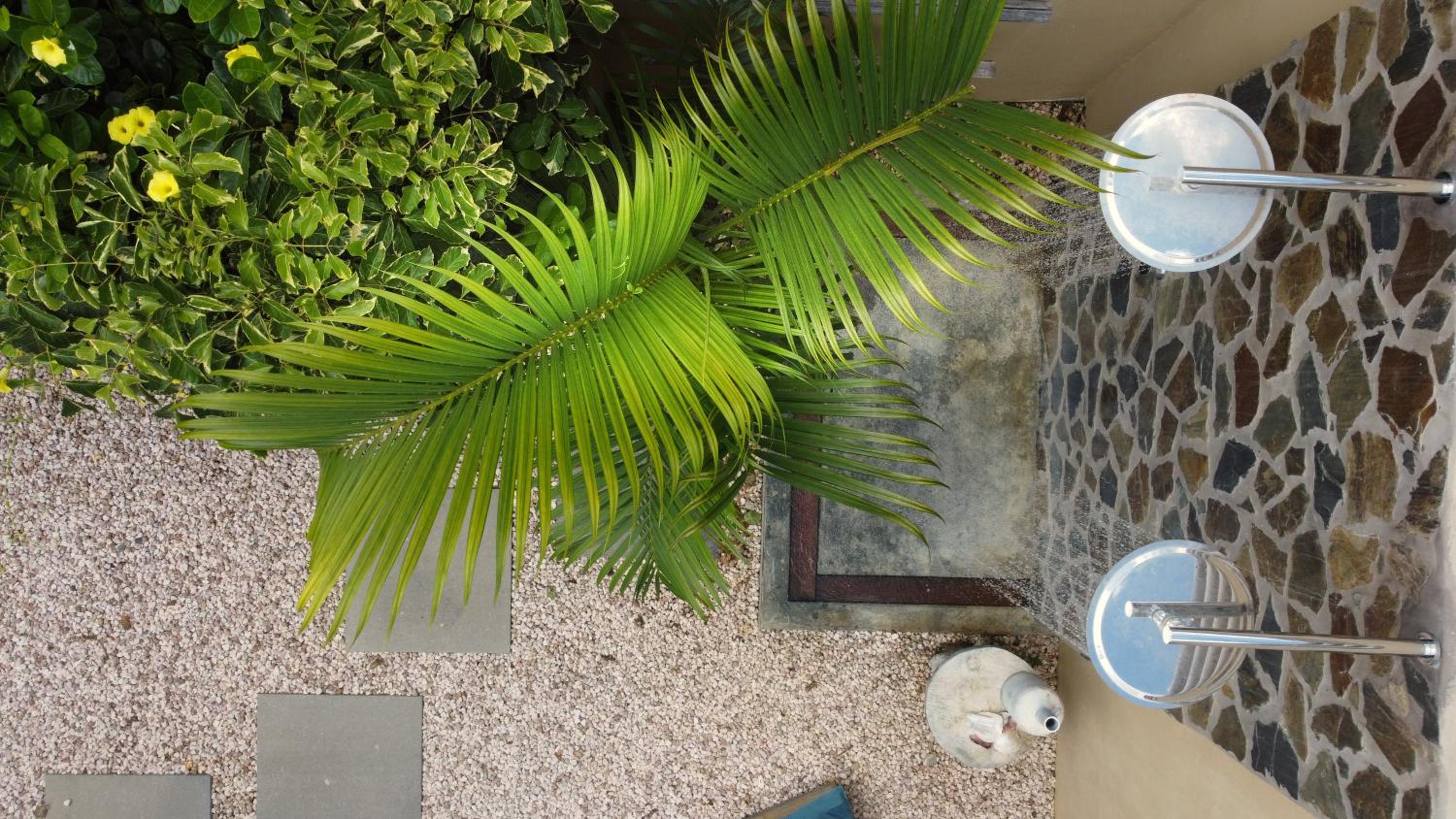 Bamboo Bonaire by Boutique Bonaire Unique Resorts
