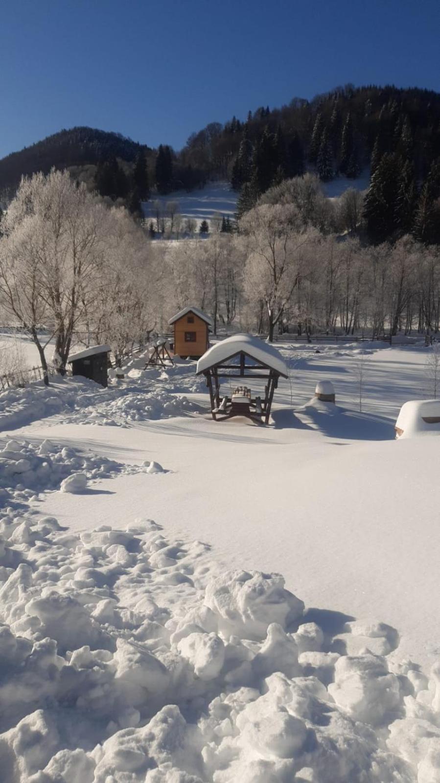 Cazare la Vama Buzăului - Căsuța Festung view 4