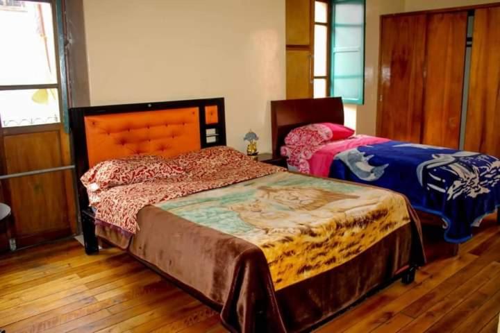 Hostal Mediodía MATRIZ